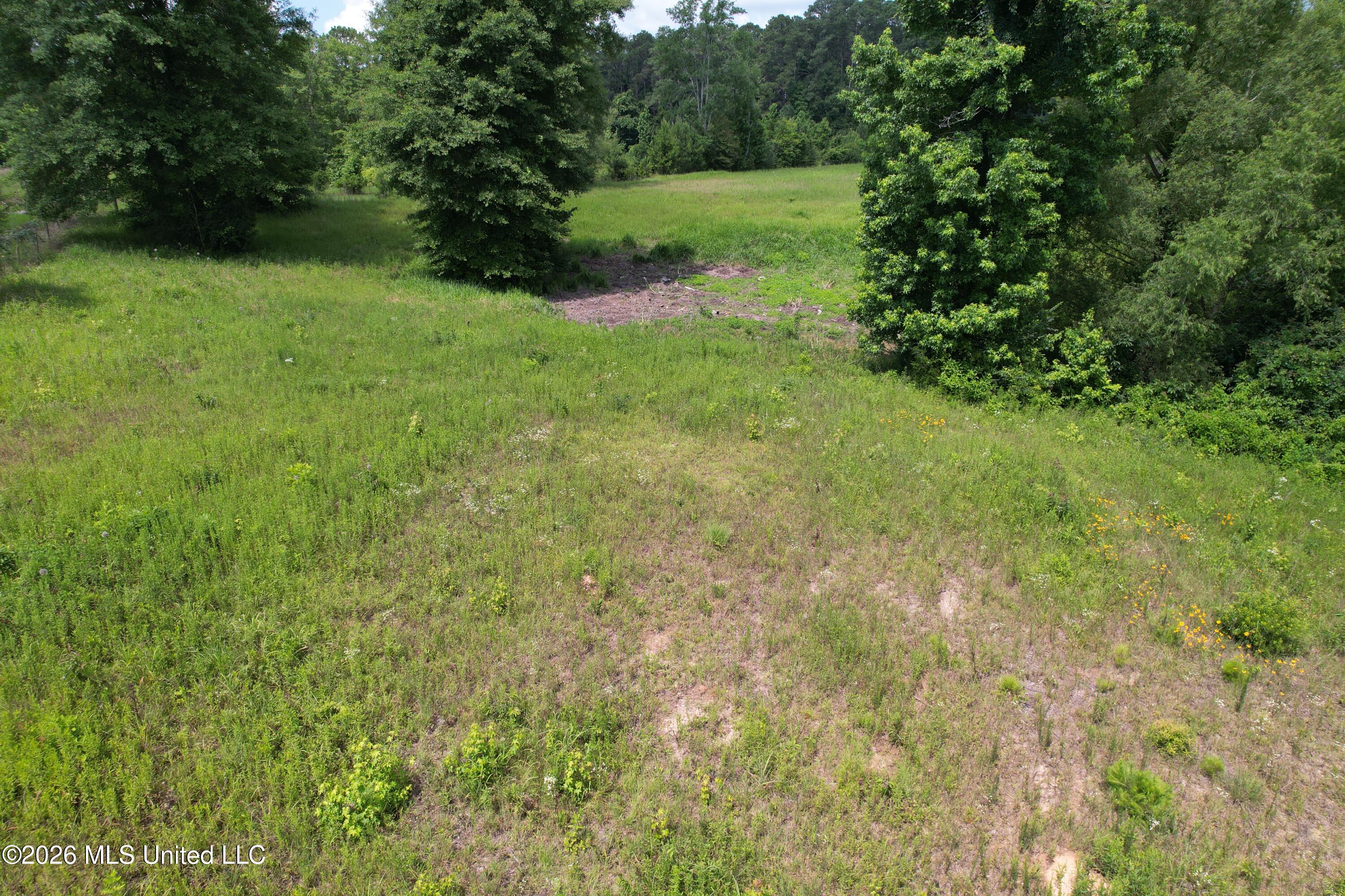 91 Levester Smith Lane Property Photo 10