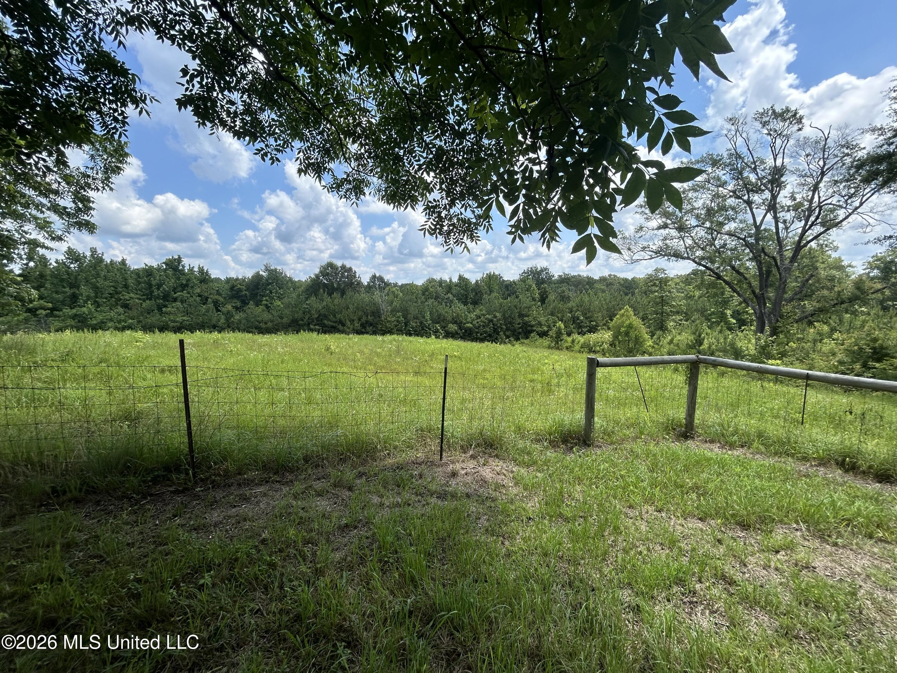 91 Levester Smith Lane Property Photo 17