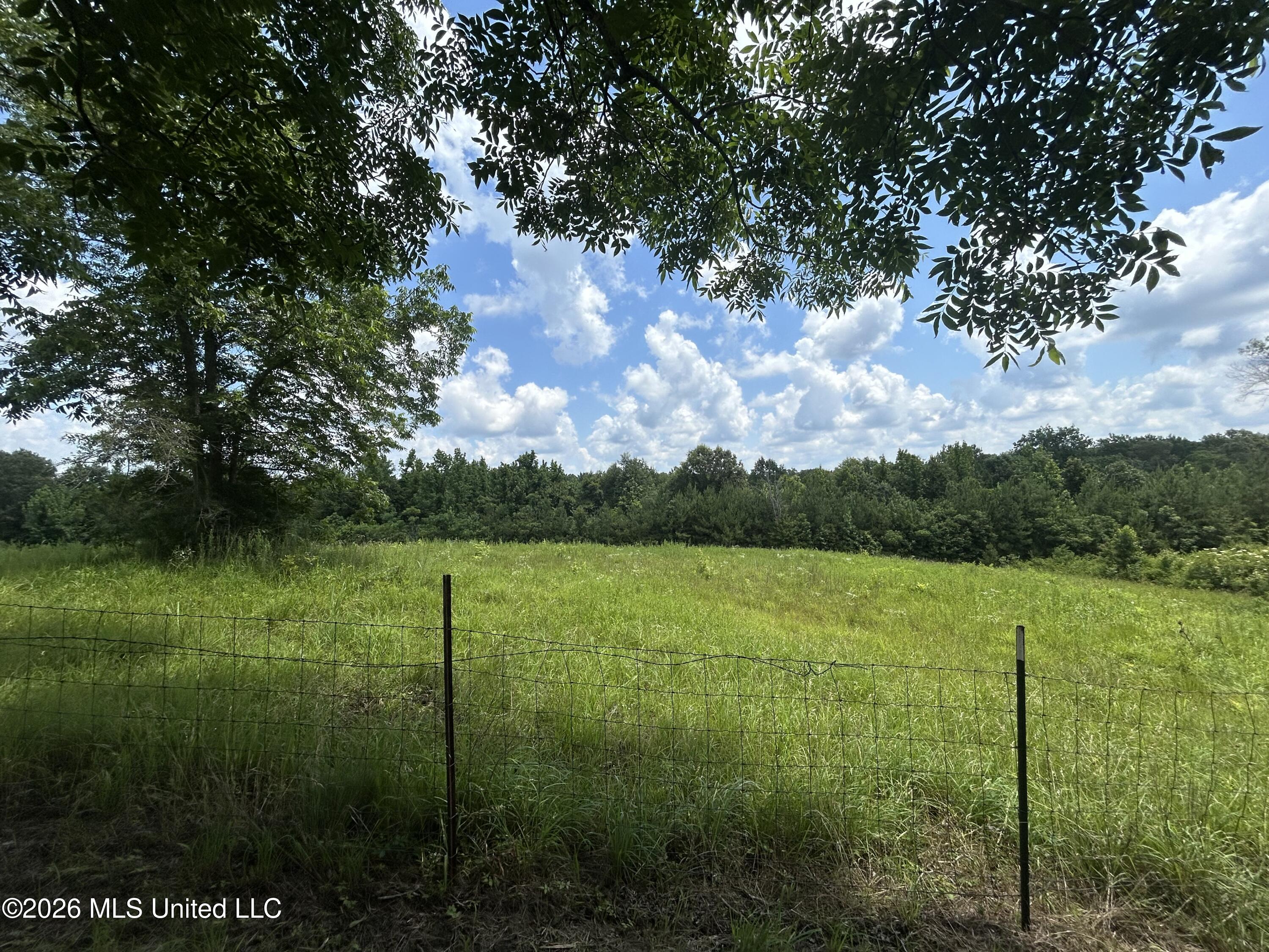 91 Levester Smith Lane Property Photo 18