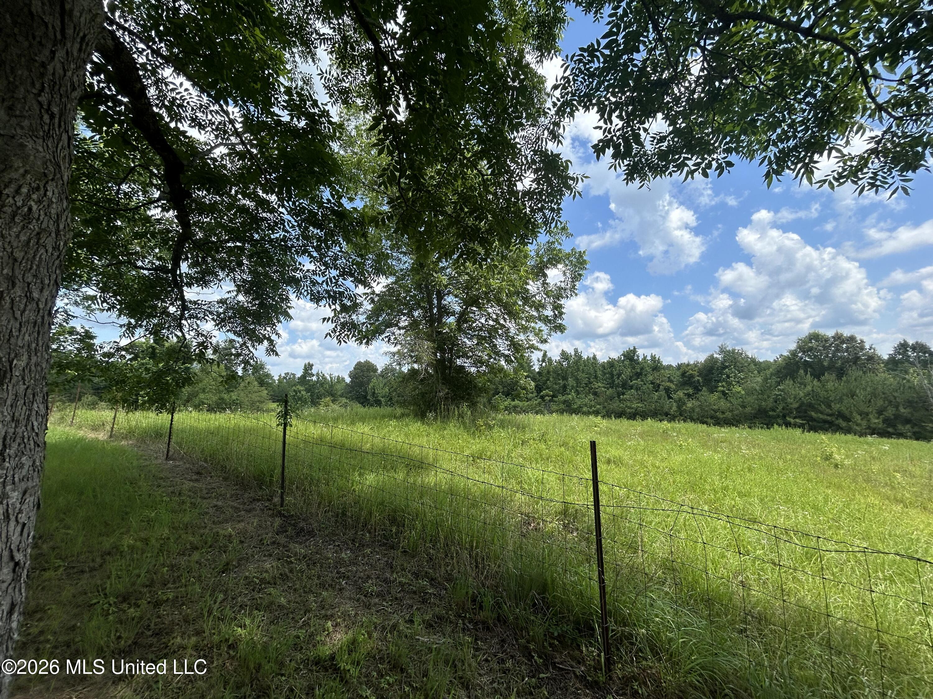 91 Levester Smith Lane Property Photo 19