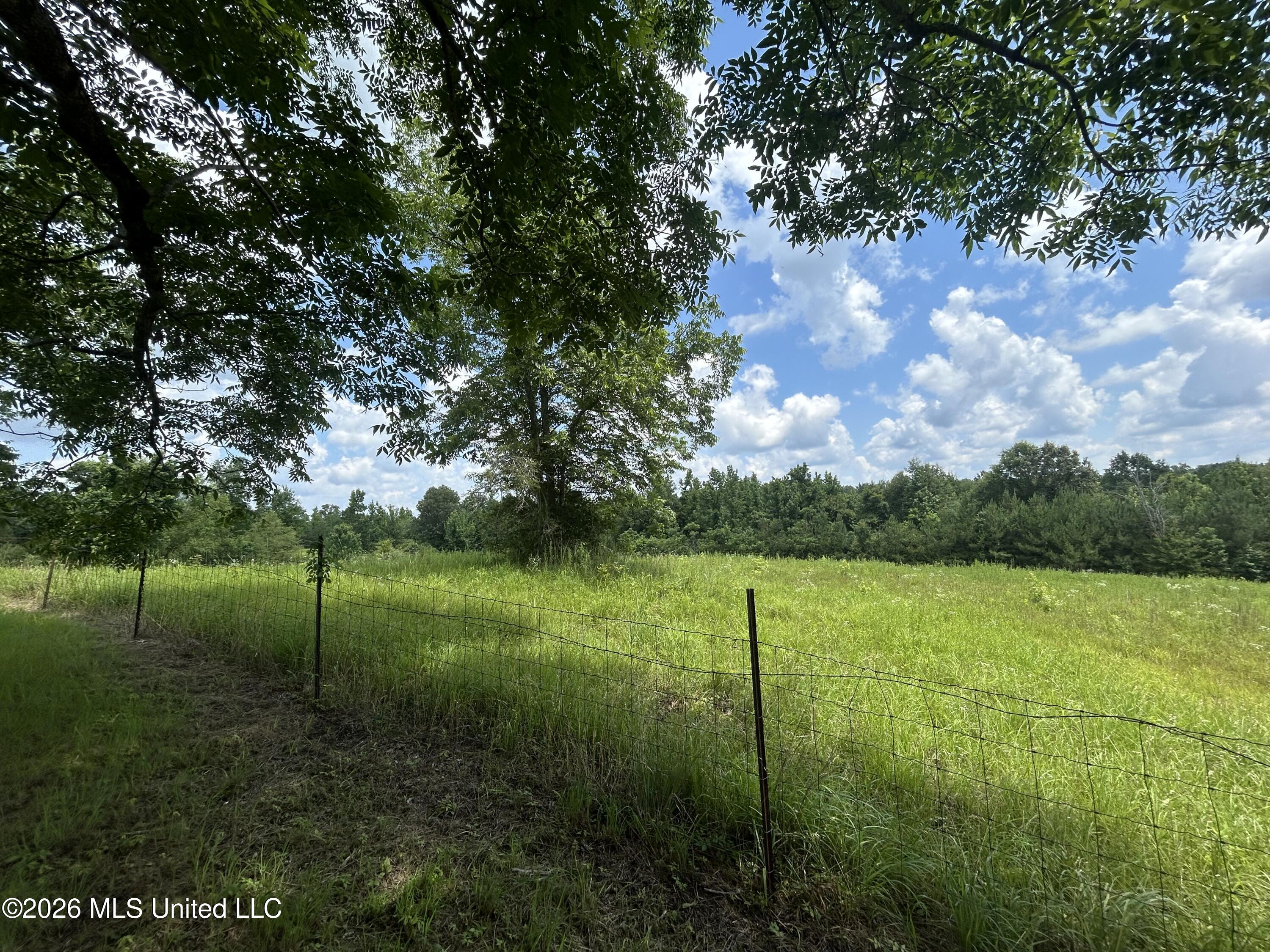 91 Levester Smith Lane Property Photo 20