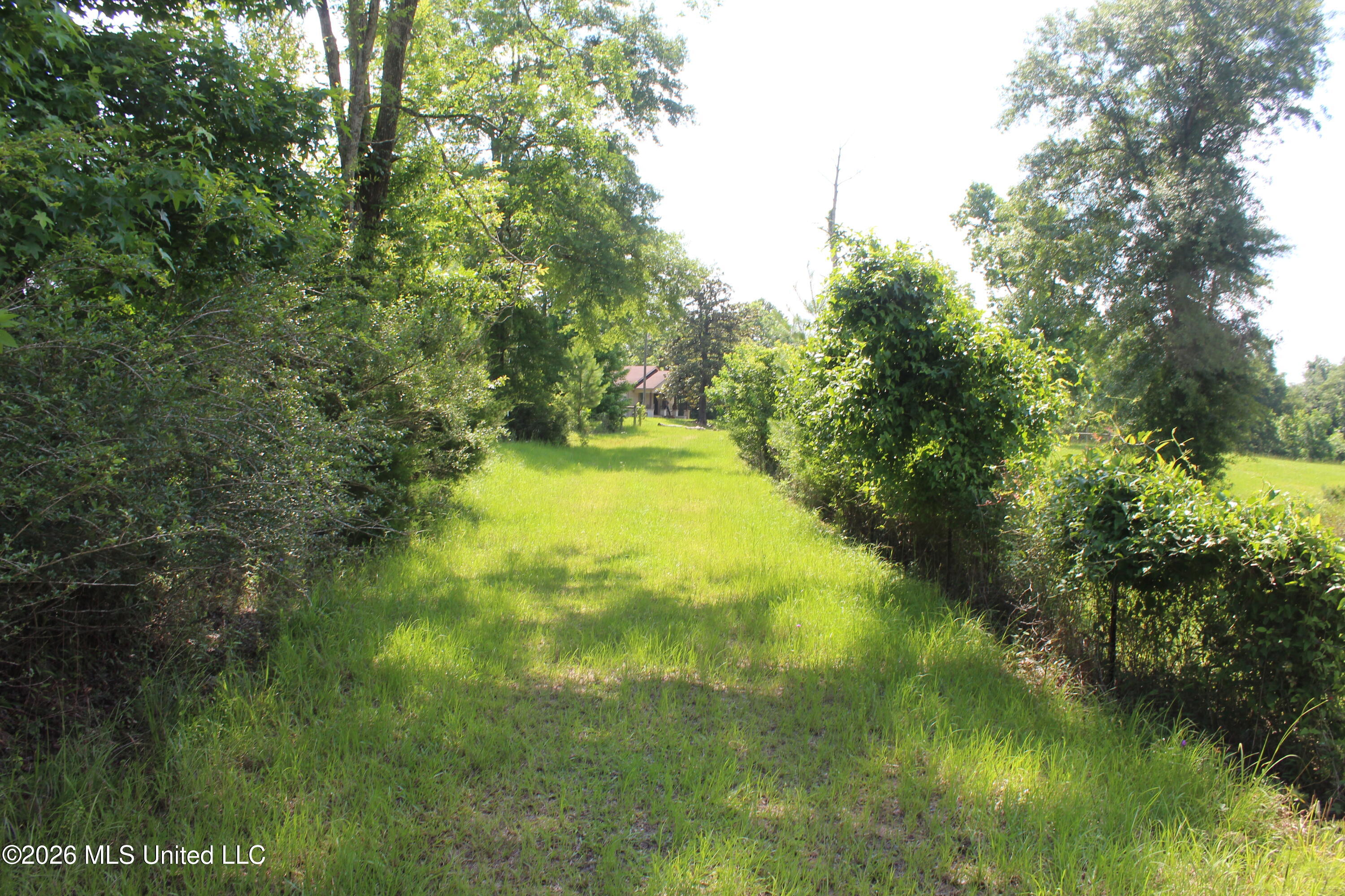 91 Levester Smith Lane Property Photo 21