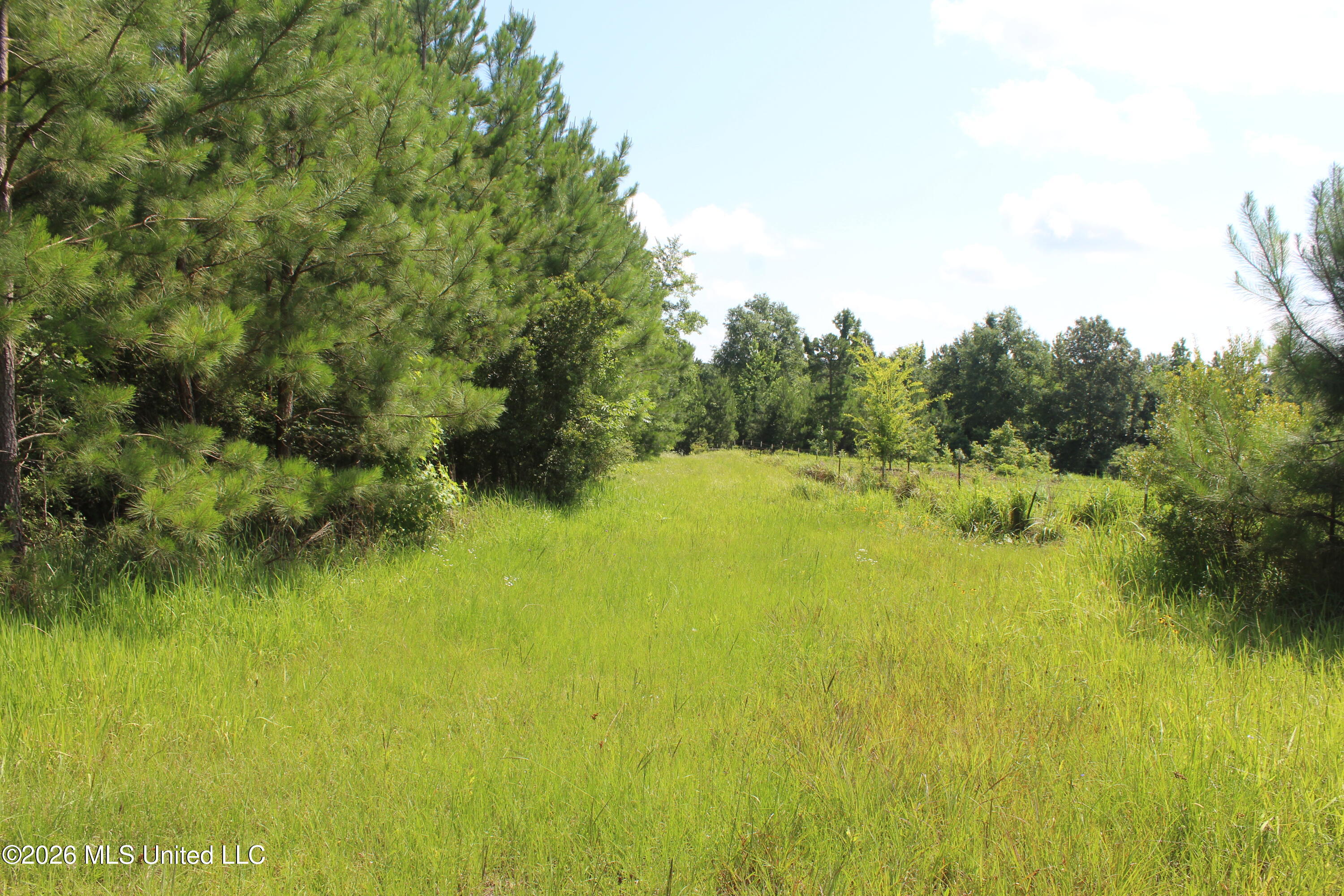 91 Levester Smith Lane Property Photo 22