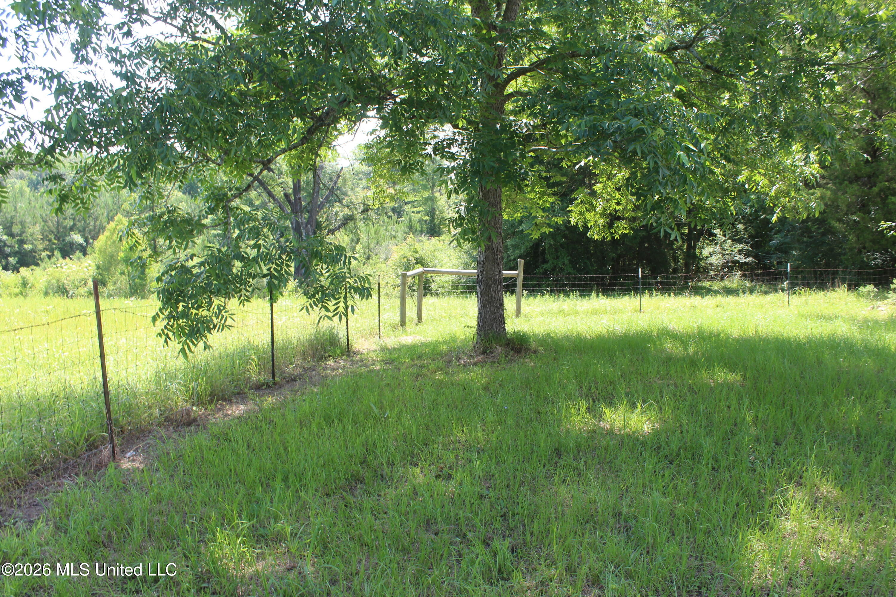 91 Levester Smith Lane Property Photo 24