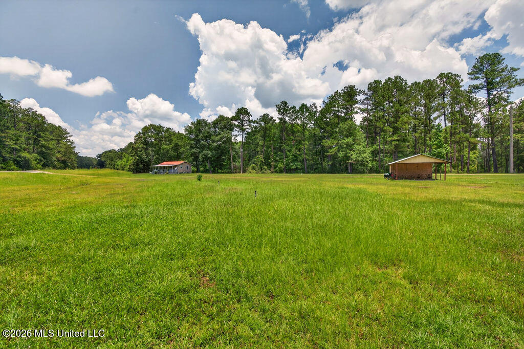 11 Cut-off Road Property Photo 9