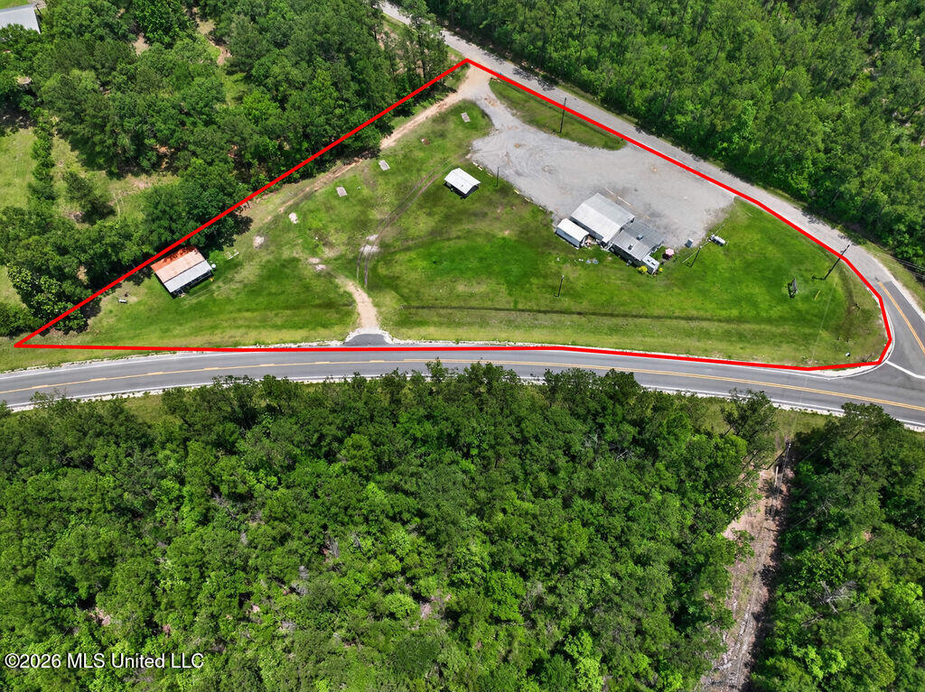 11 Cut-off Road Property Photo 59