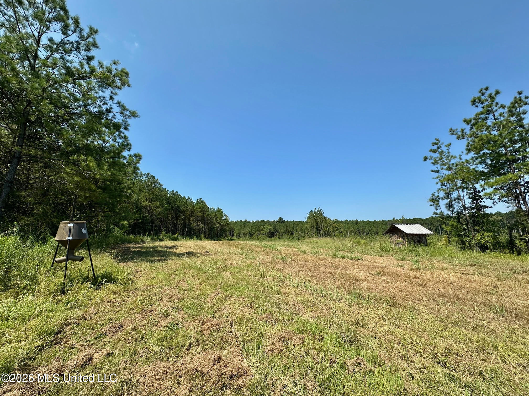 Ms-25 Property Photo 14