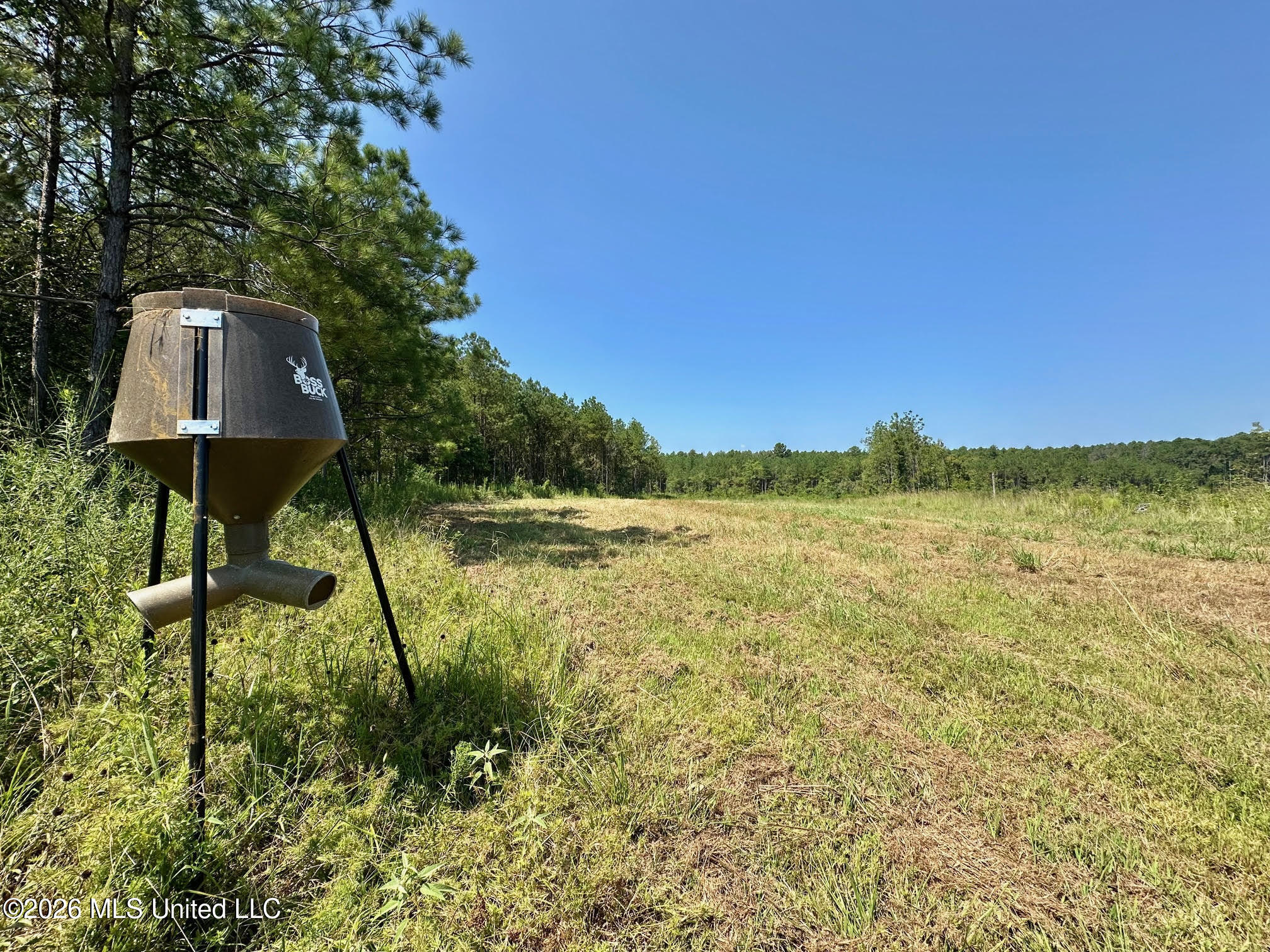 Ms-25 Property Photo 15