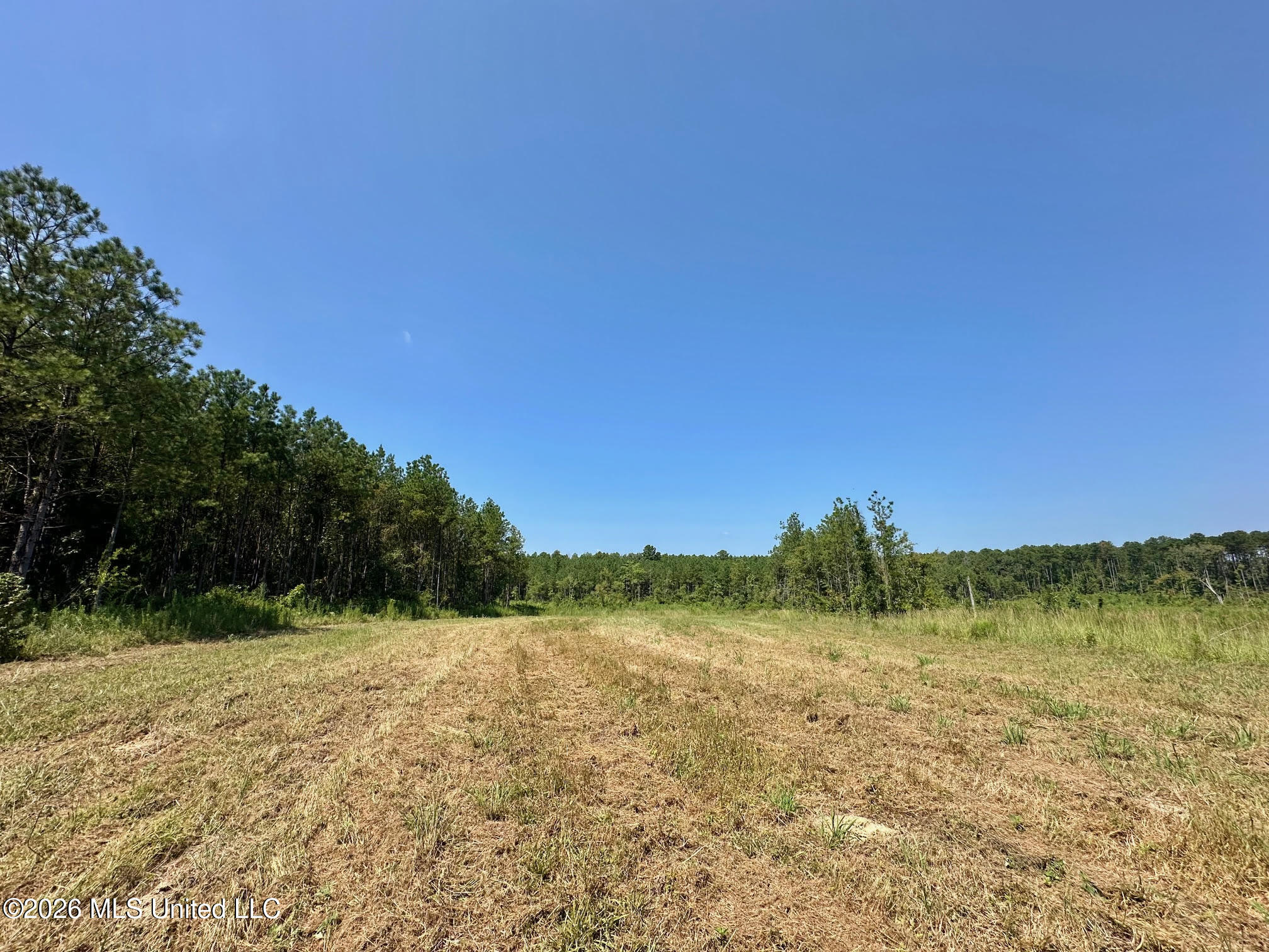 Ms-25 Property Photo 16
