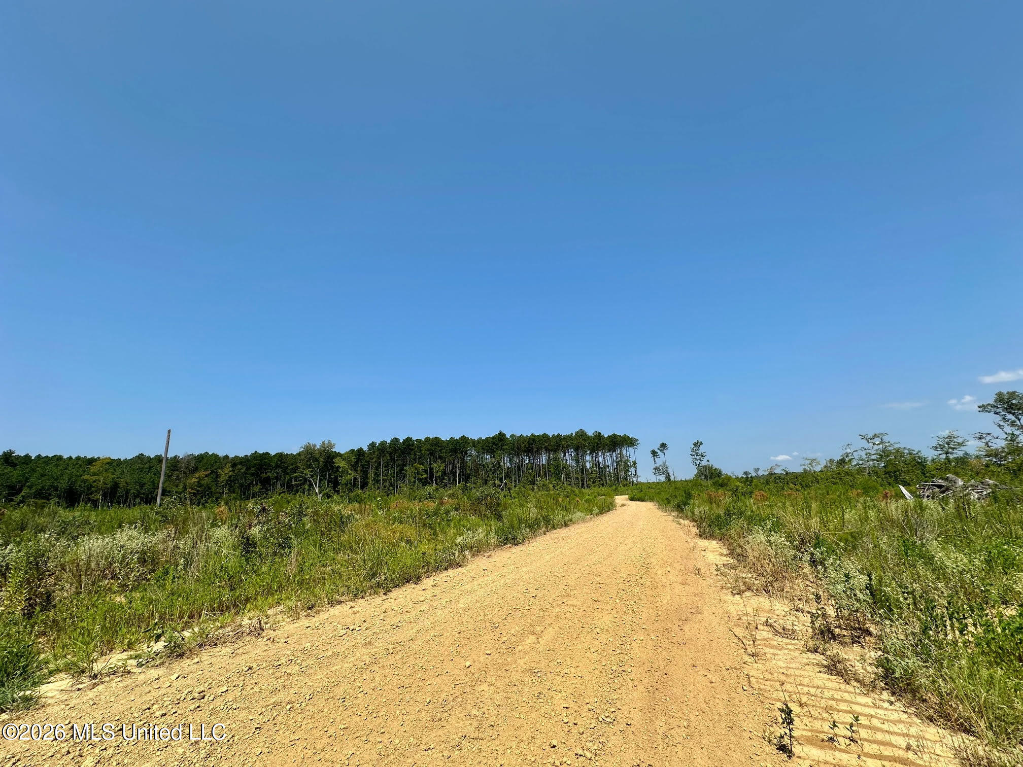 Ms-25 Property Photo 19