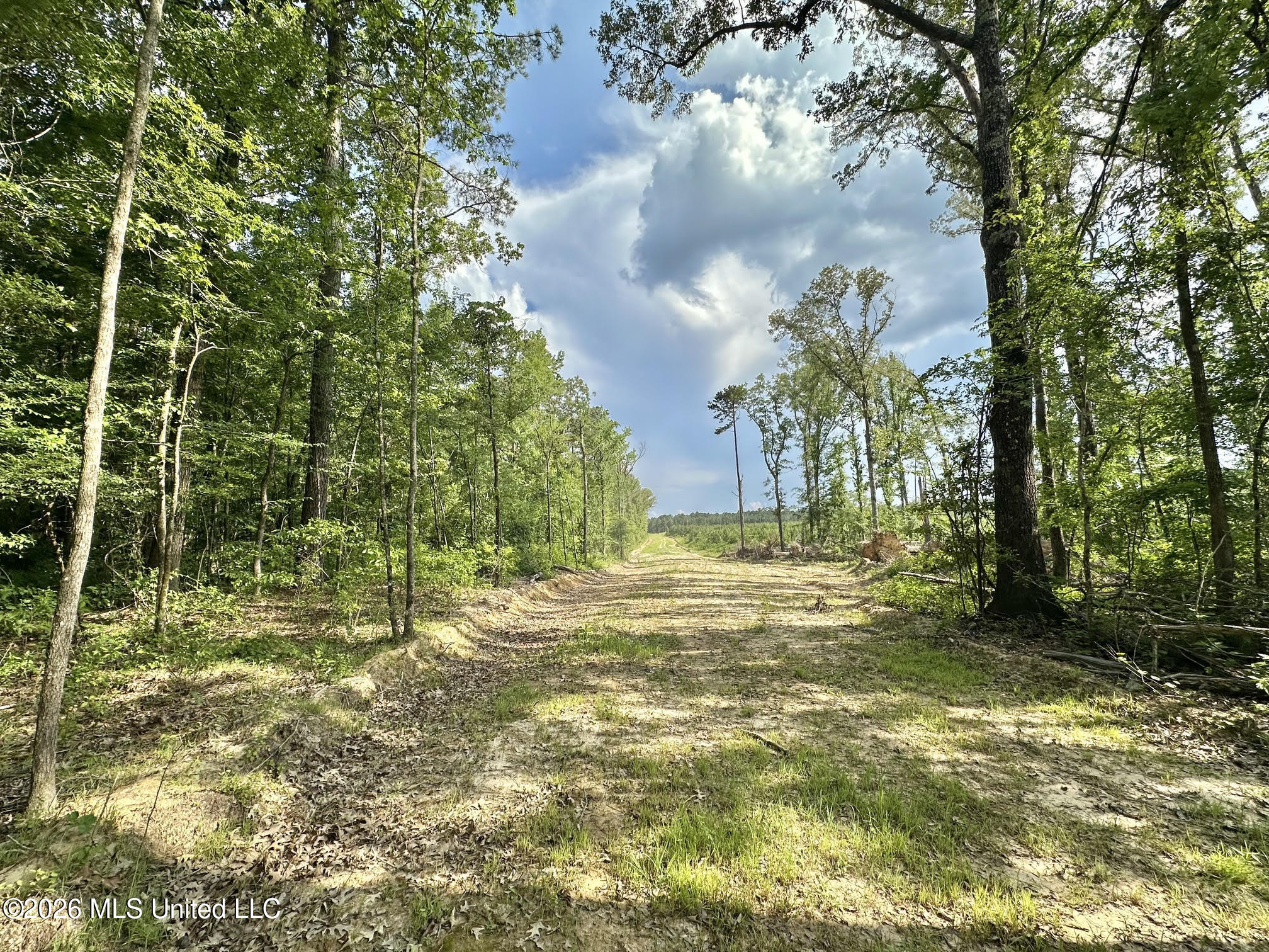 Ms-25 Property Photo 67