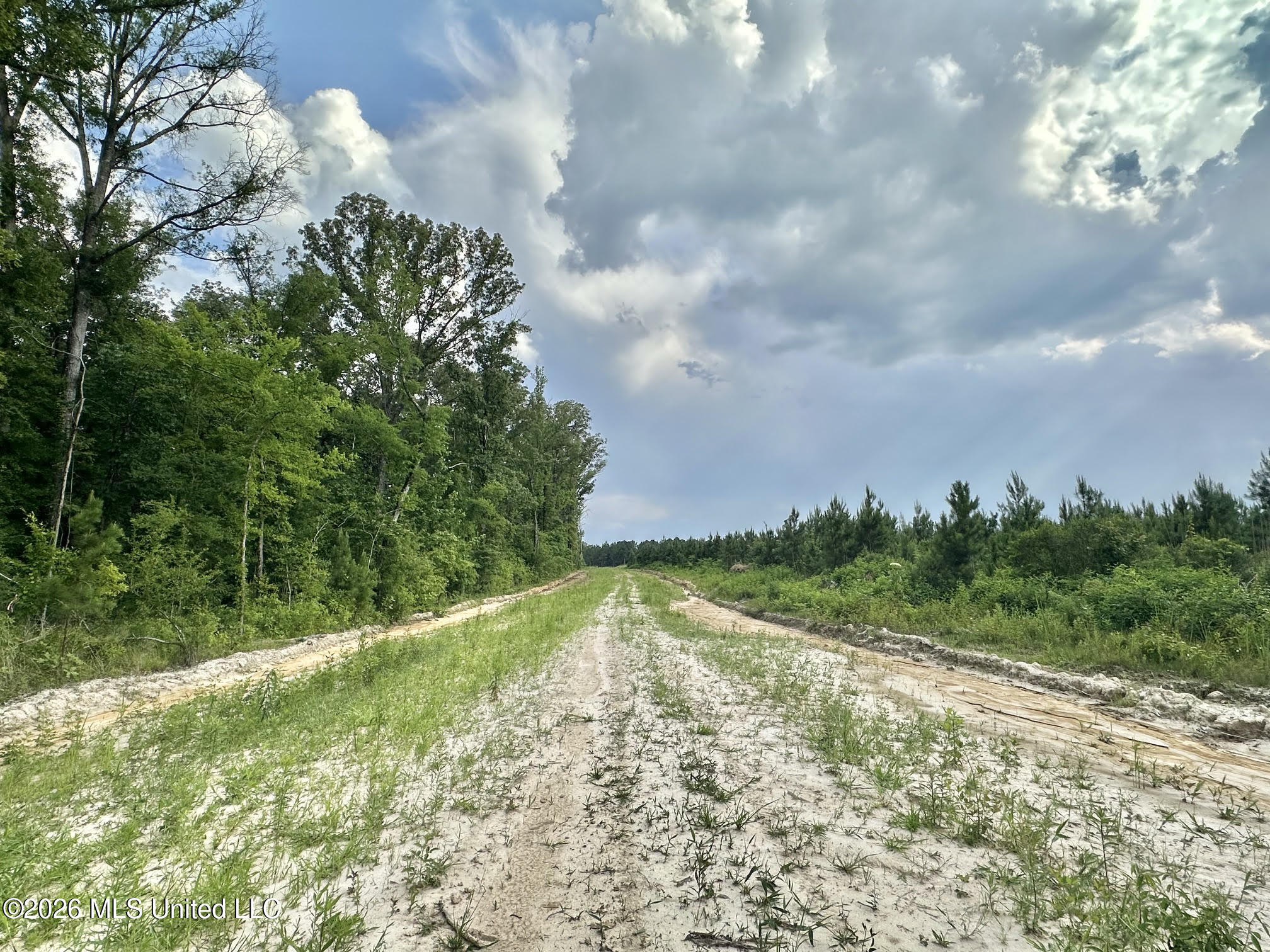Ms-25 Property Photo 69