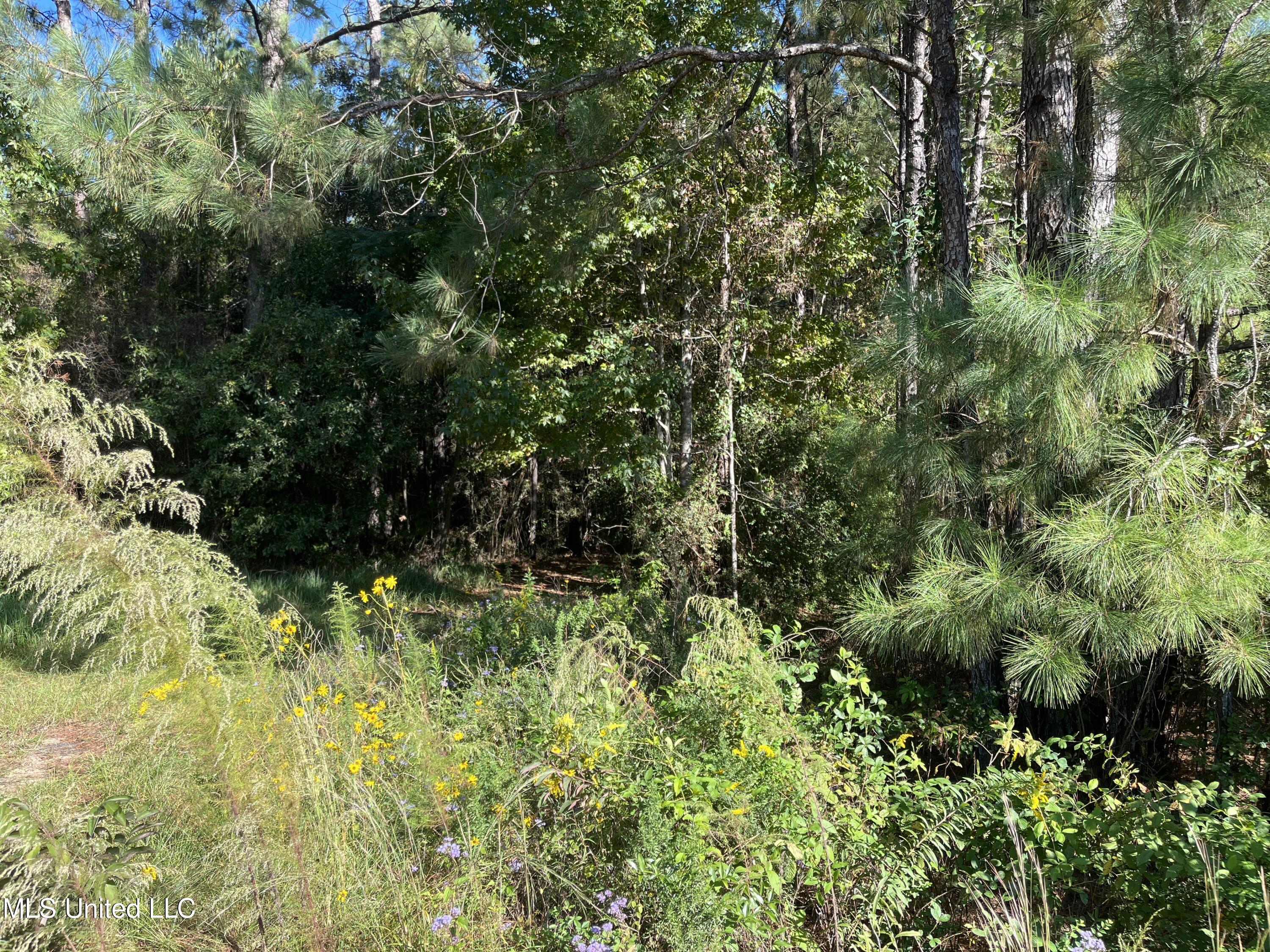0 Timberlane Road Property Photo 2