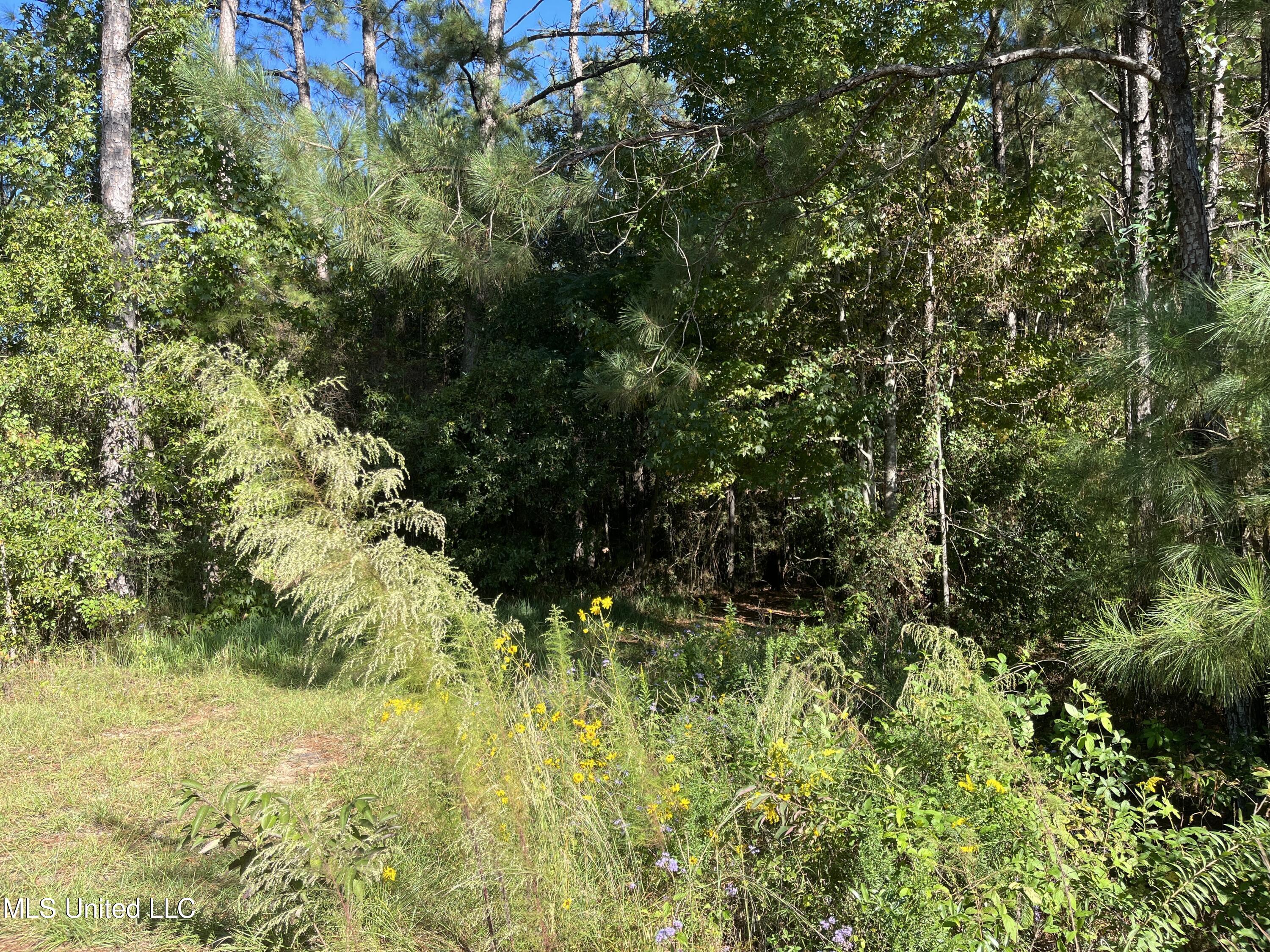 0 Timberlane Road Property Photo 3