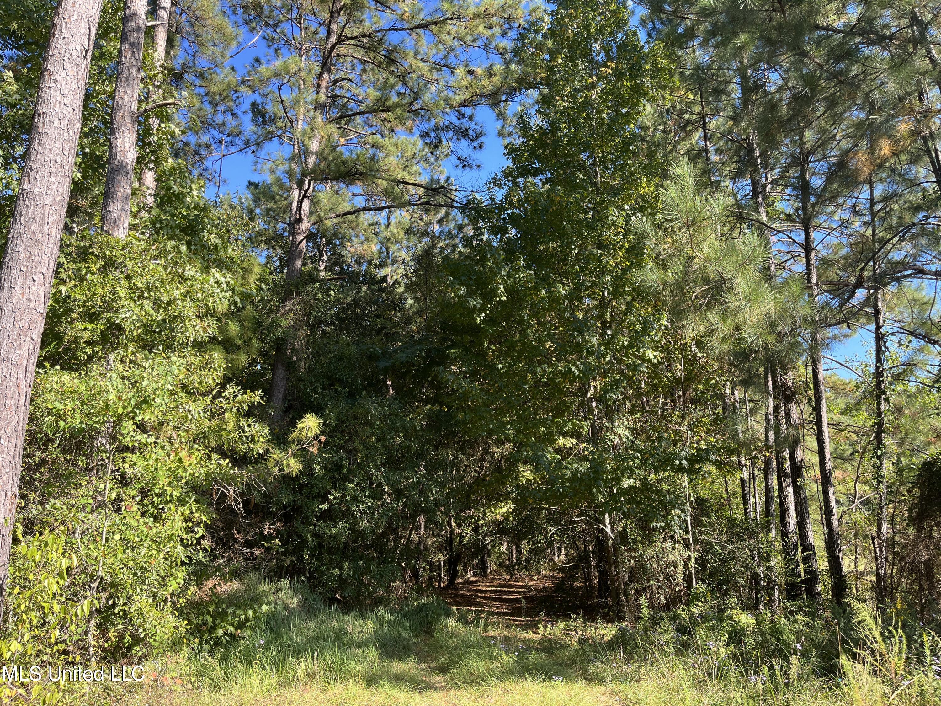 0 Timberlane Road Property Photo 4