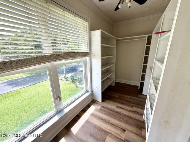 825 Warren Street Property Photo 51