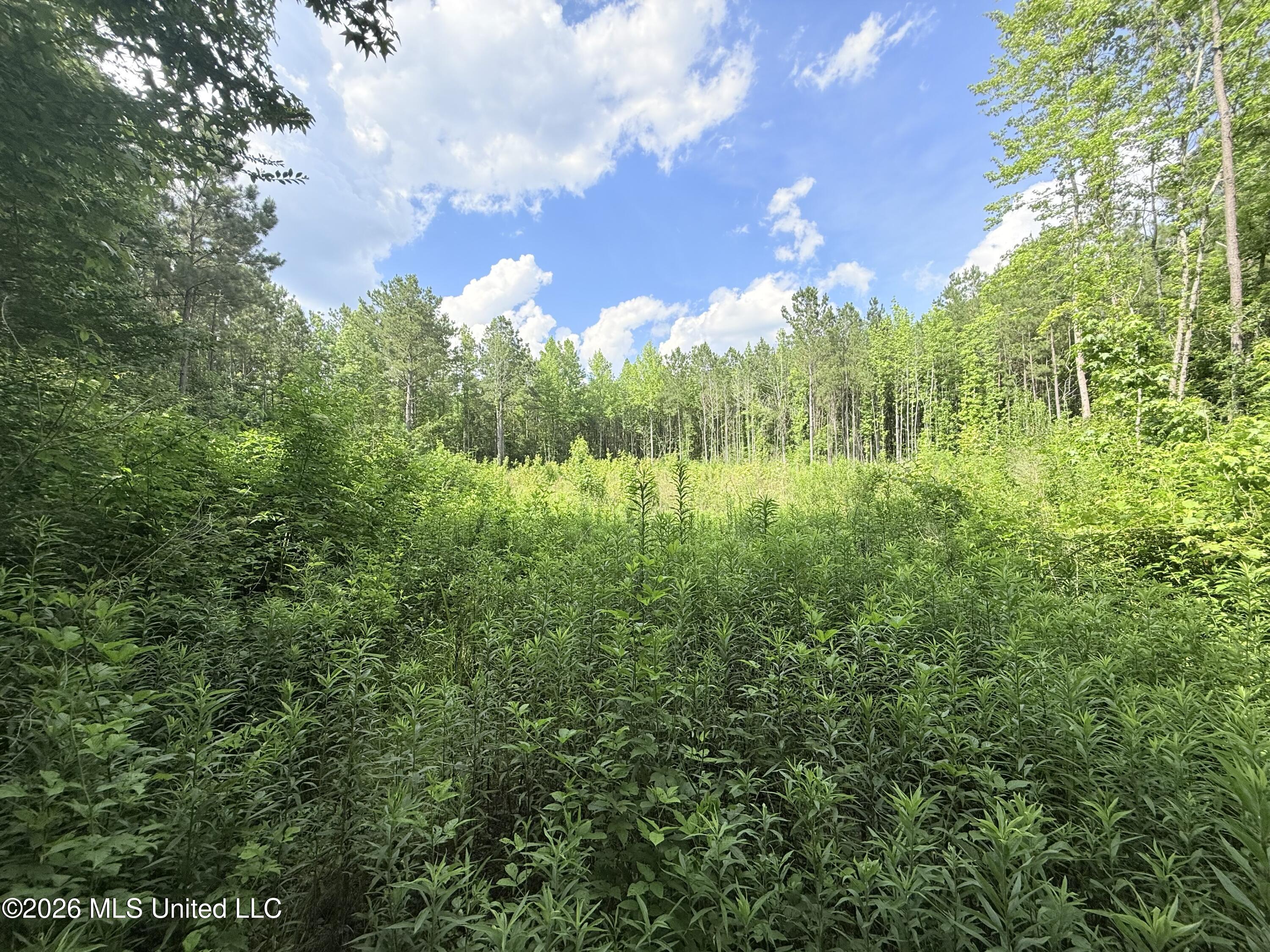 16 Durr Lane Property Photo 22
