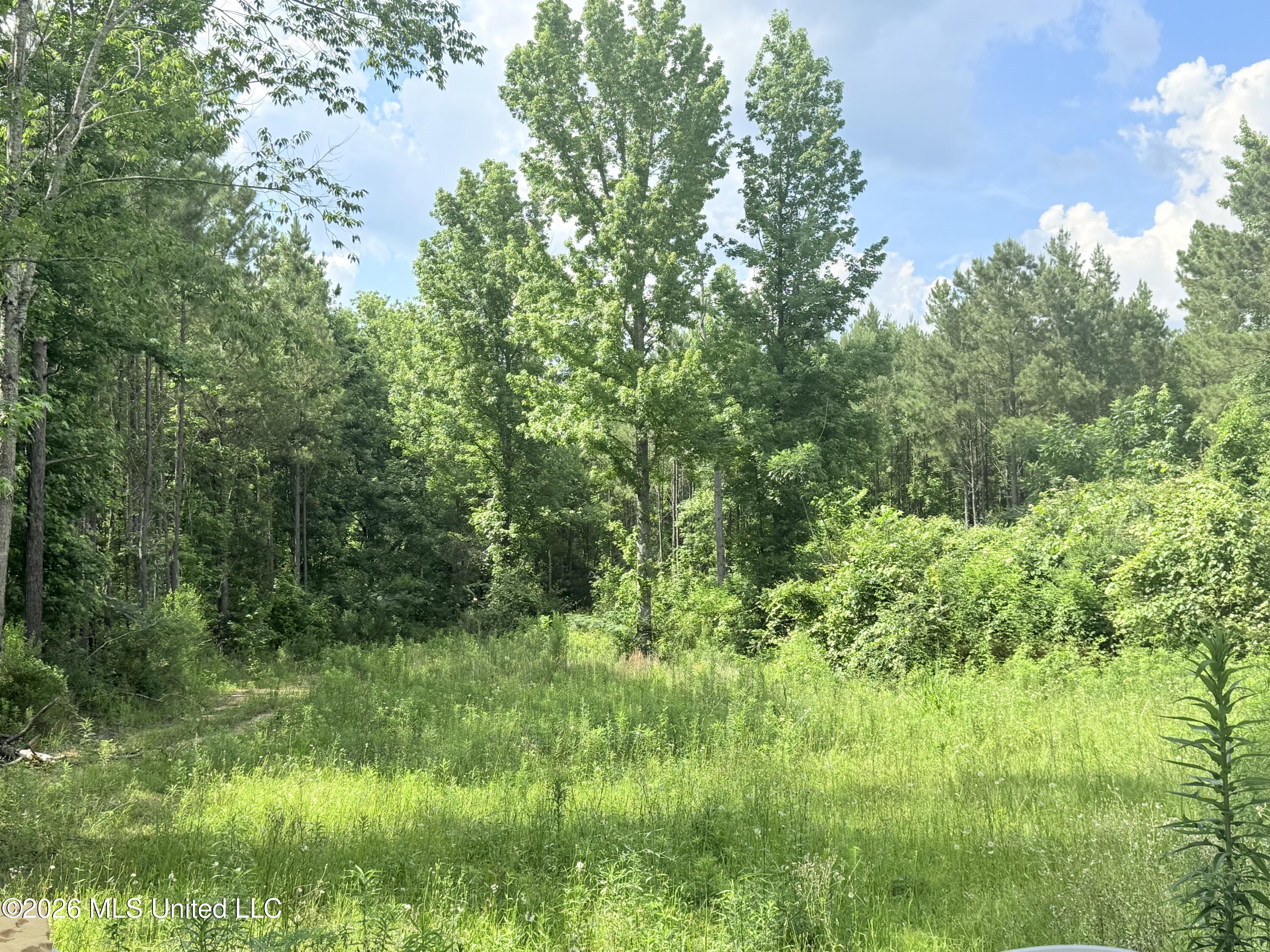 16 Durr Lane Property Photo 25