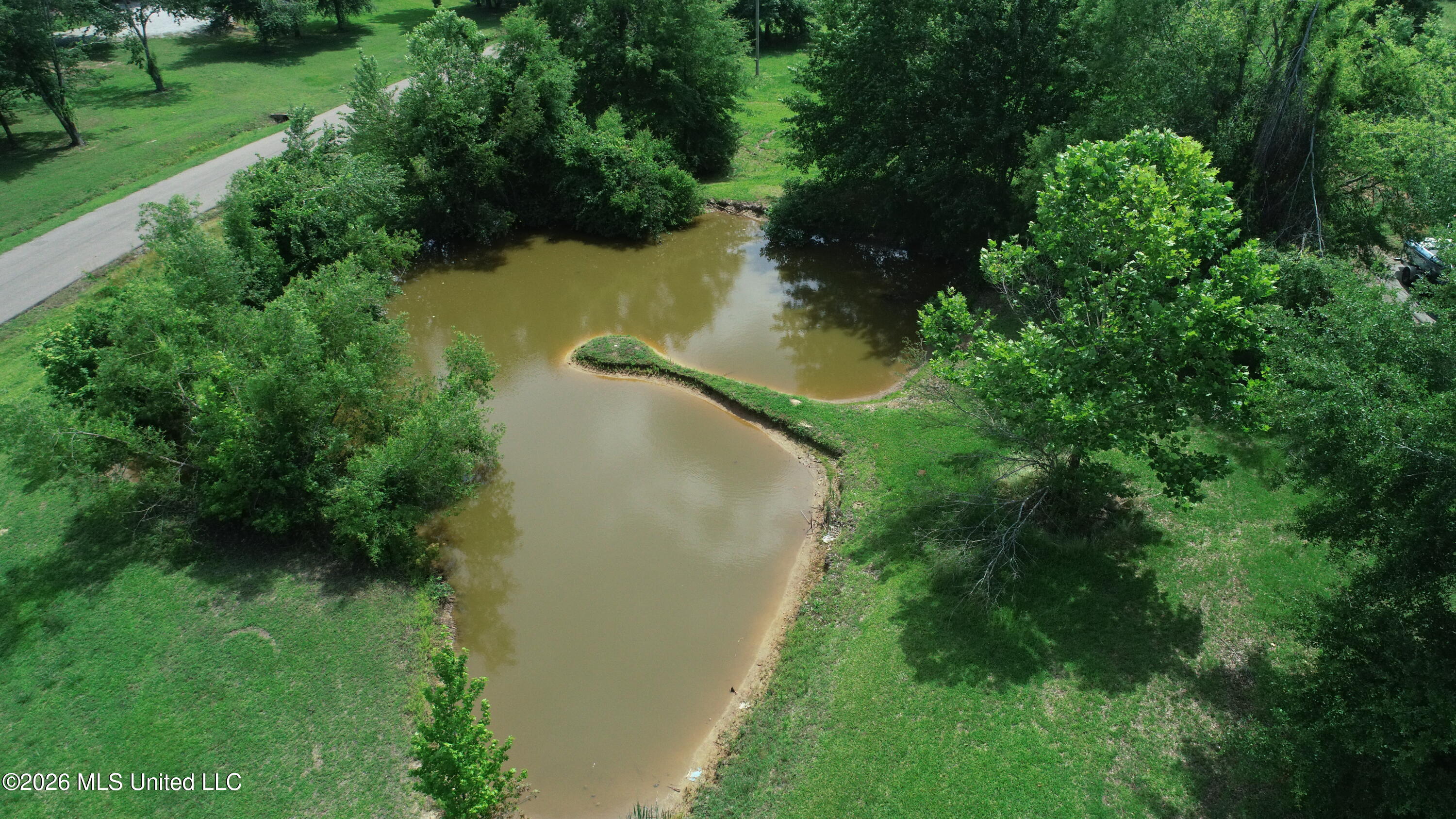 102 Peacock Holler Property Photo 29