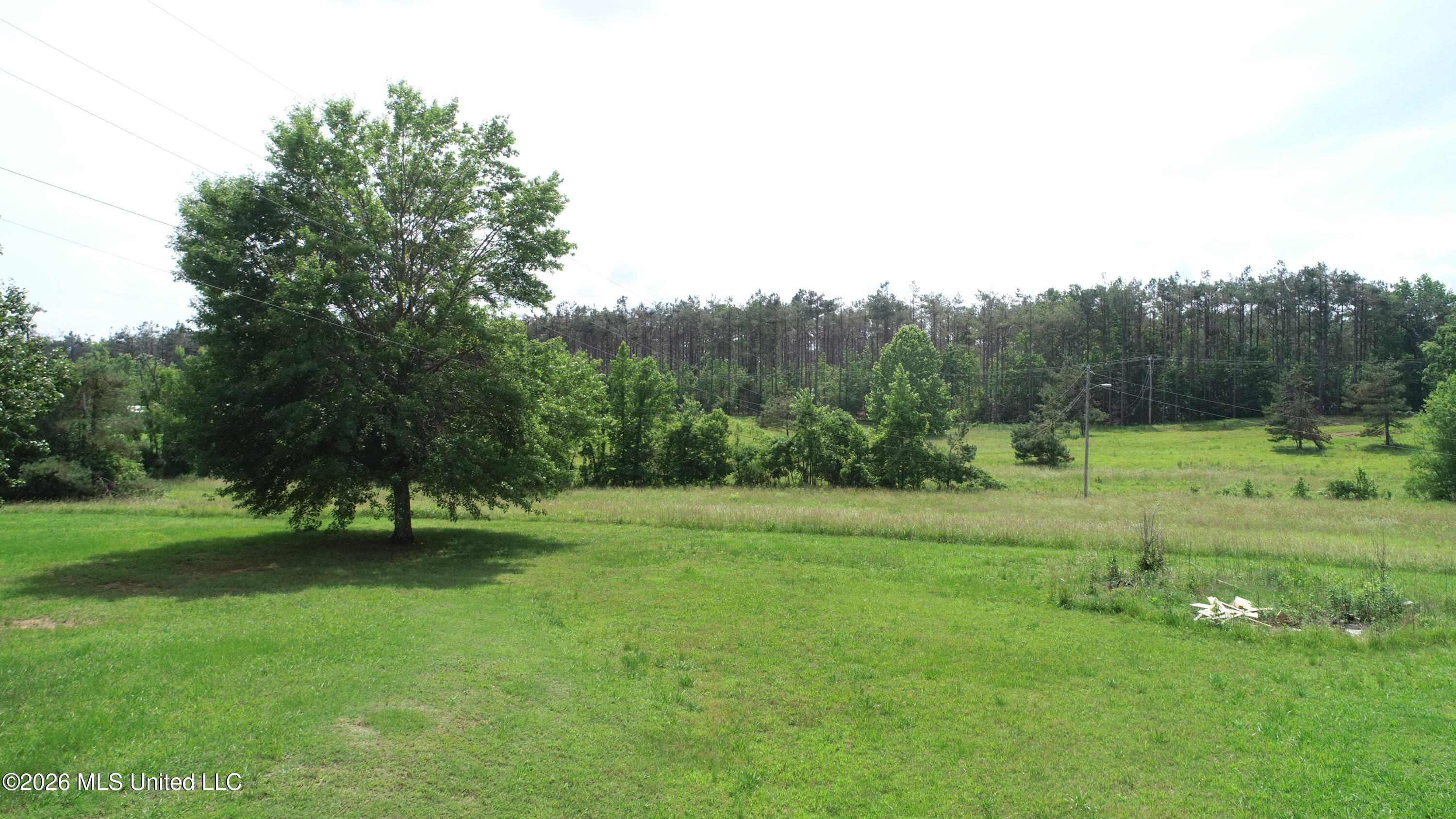 102 Peacock Holler Property Photo 33