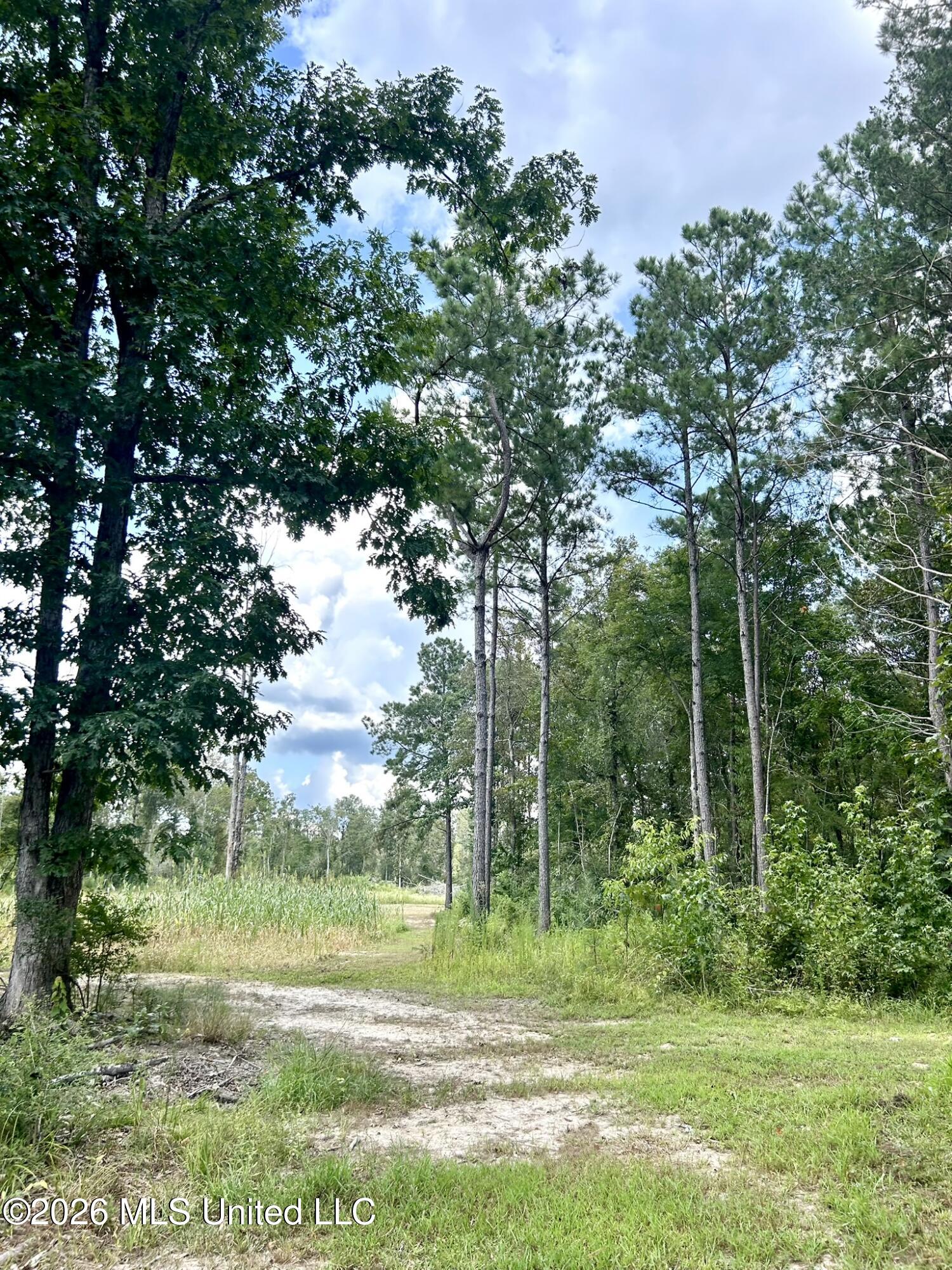 2129 Sw London Drive Property Photo 41