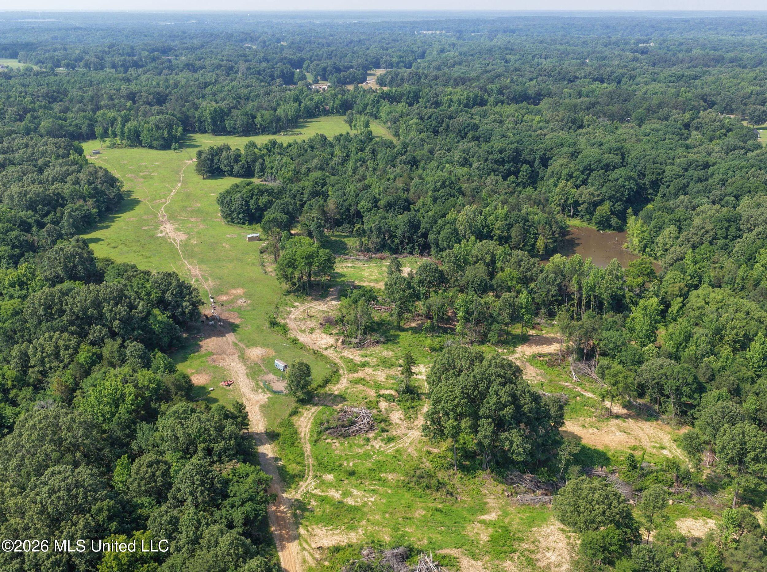 2169 Slocum Road Property Photo 14
