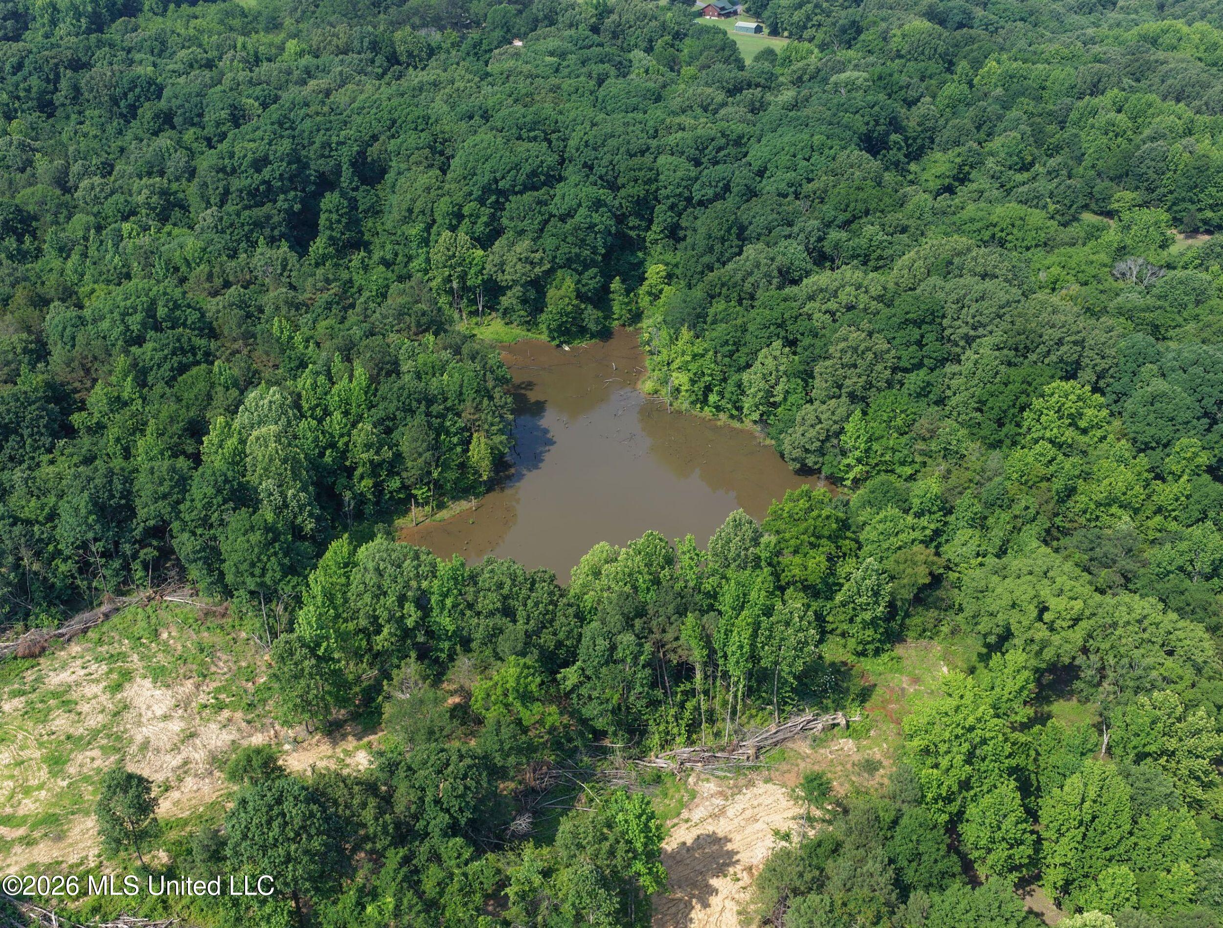 2169 Slocum Road Property Photo 18
