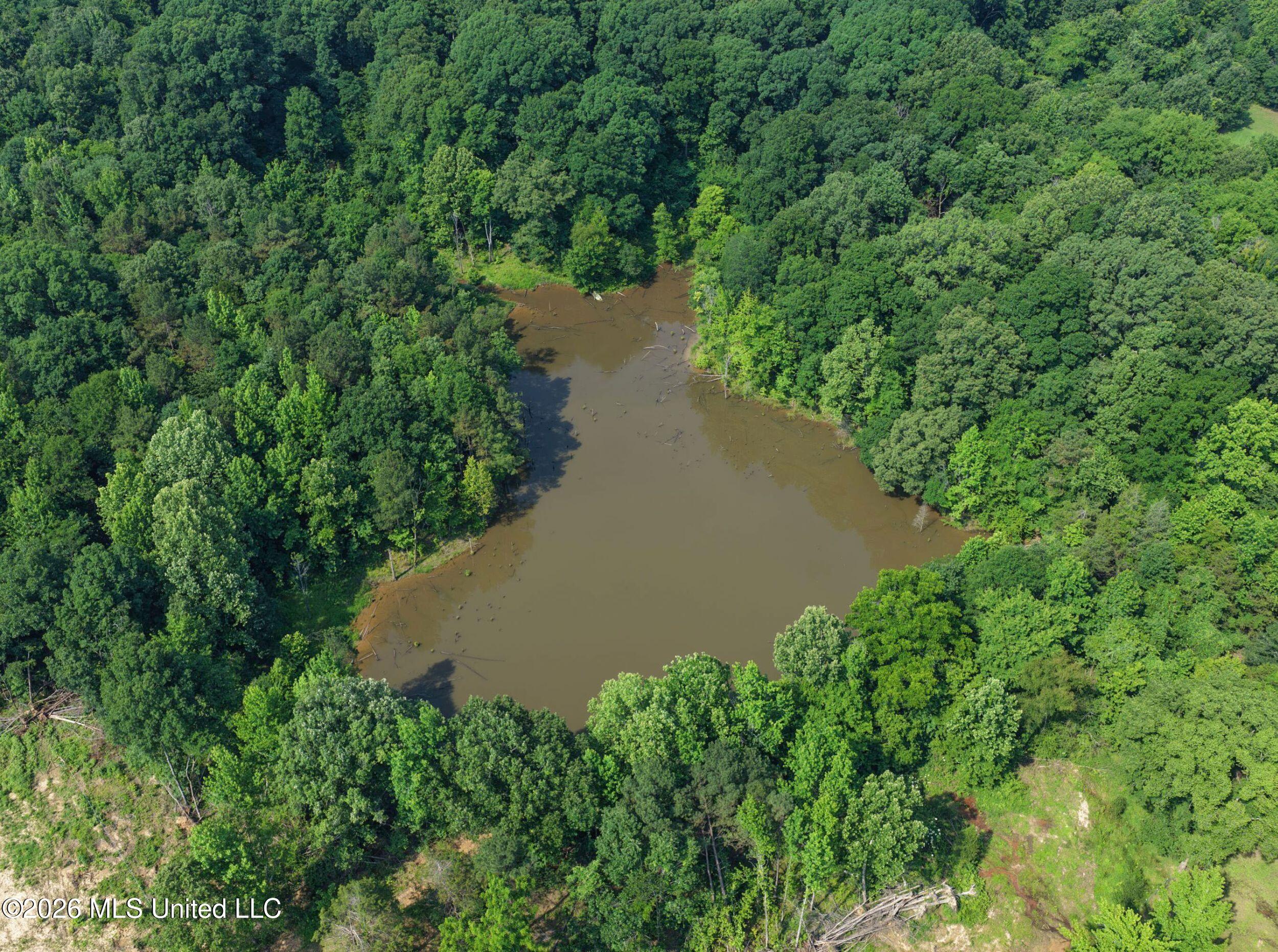 2169 Slocum Road Property Photo 19