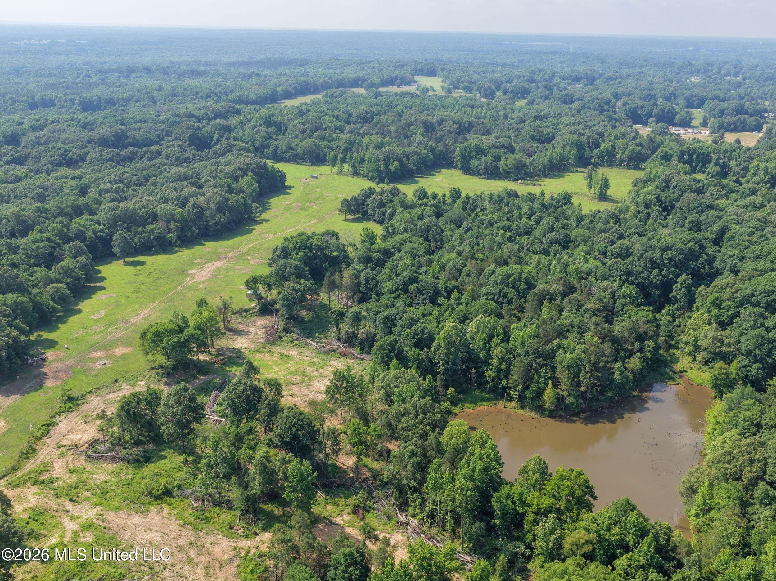 2169 Slocum Road Property Photo 21