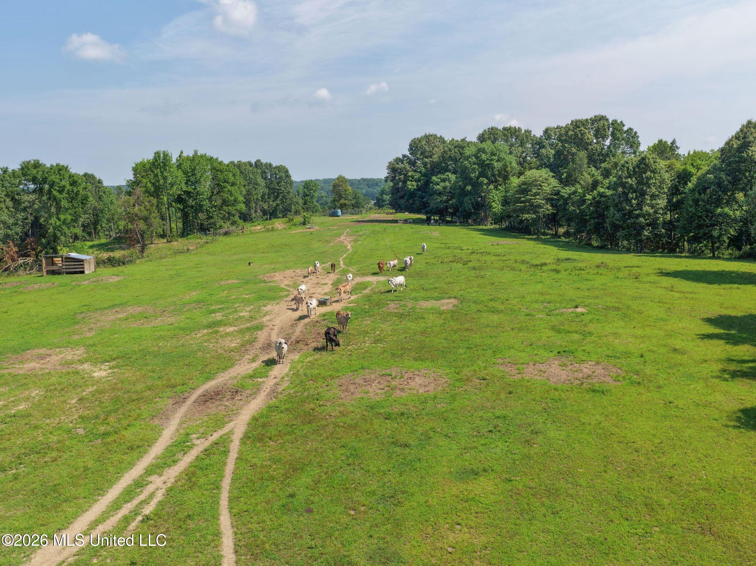 2169 Slocum Road Property Photo 39