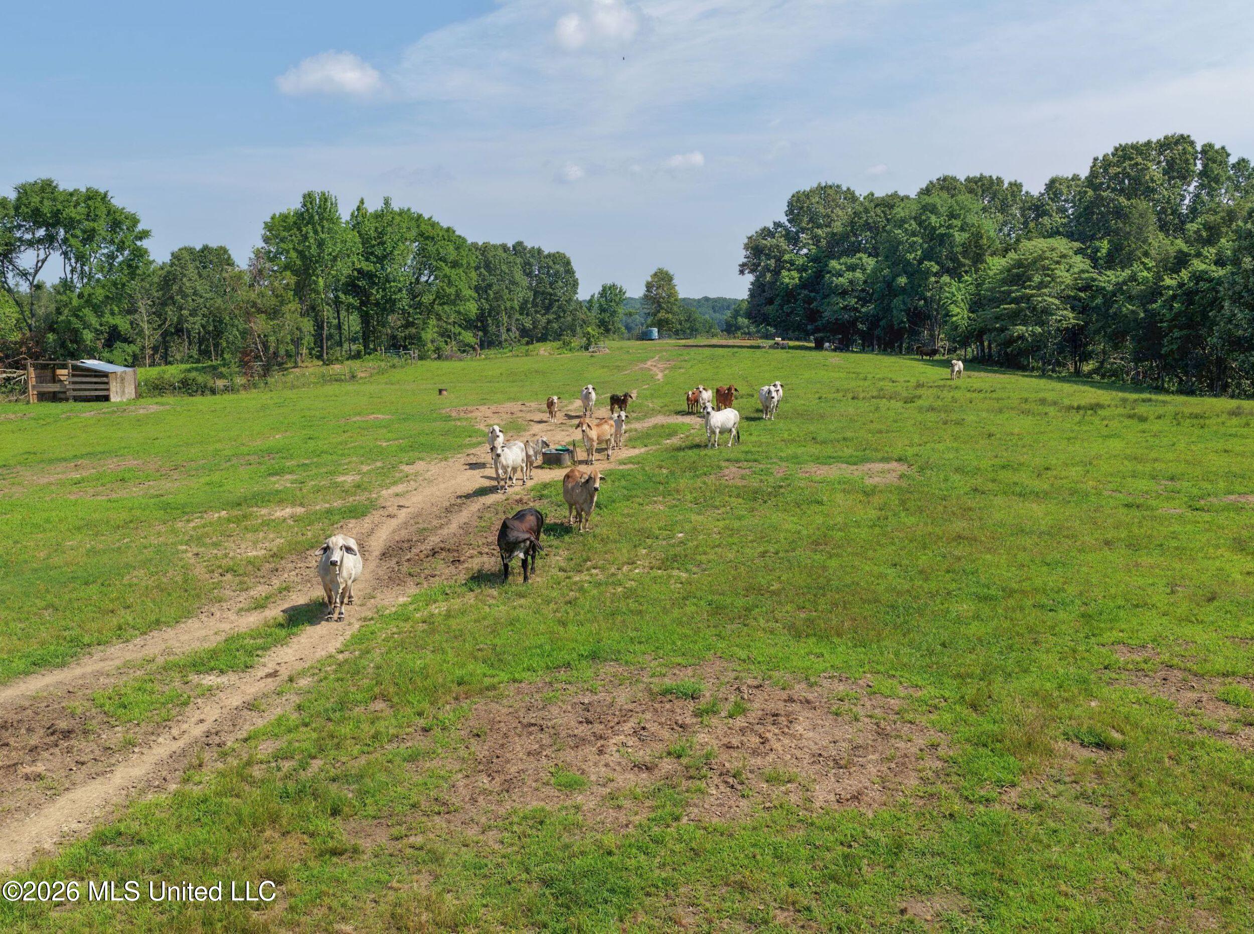 2169 Slocum Road Property Photo 40