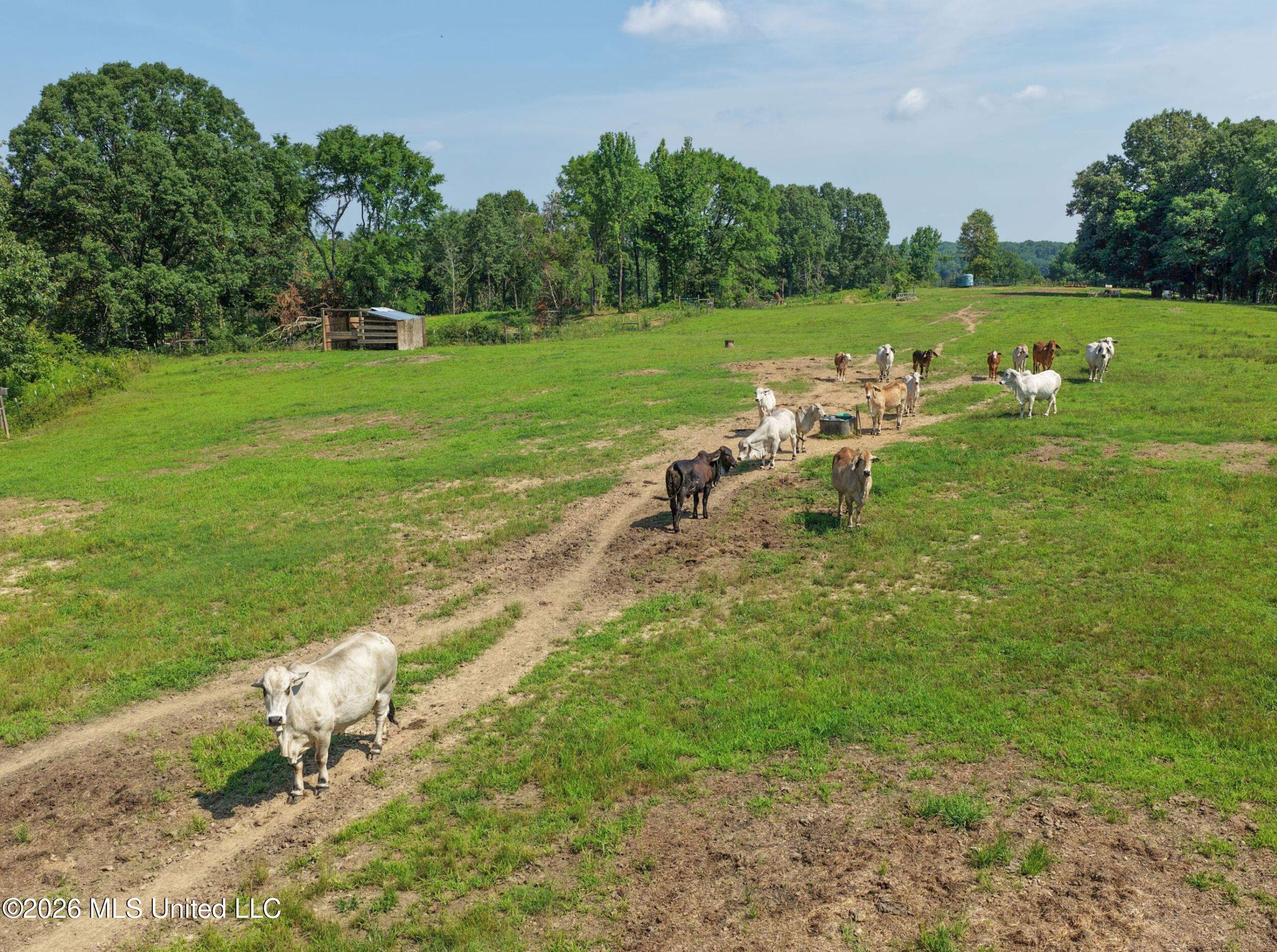 2169 Slocum Road Property Photo 41