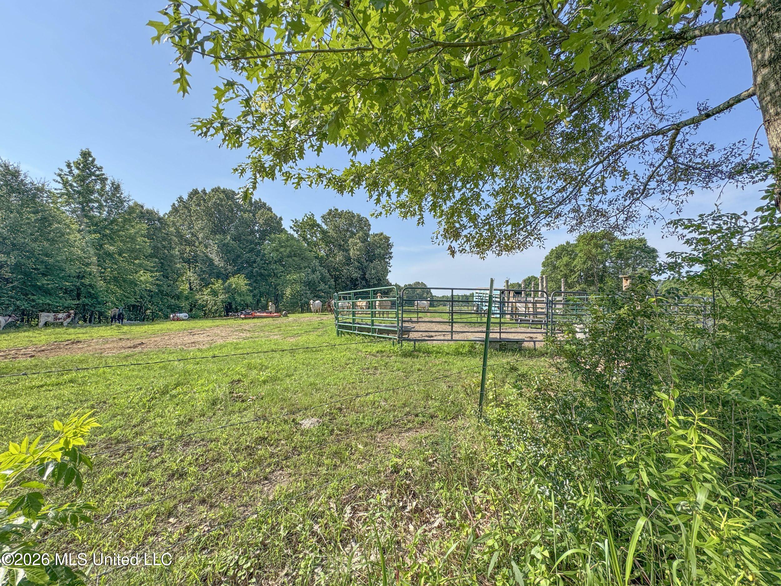 2169 Slocum Road Property Photo 50