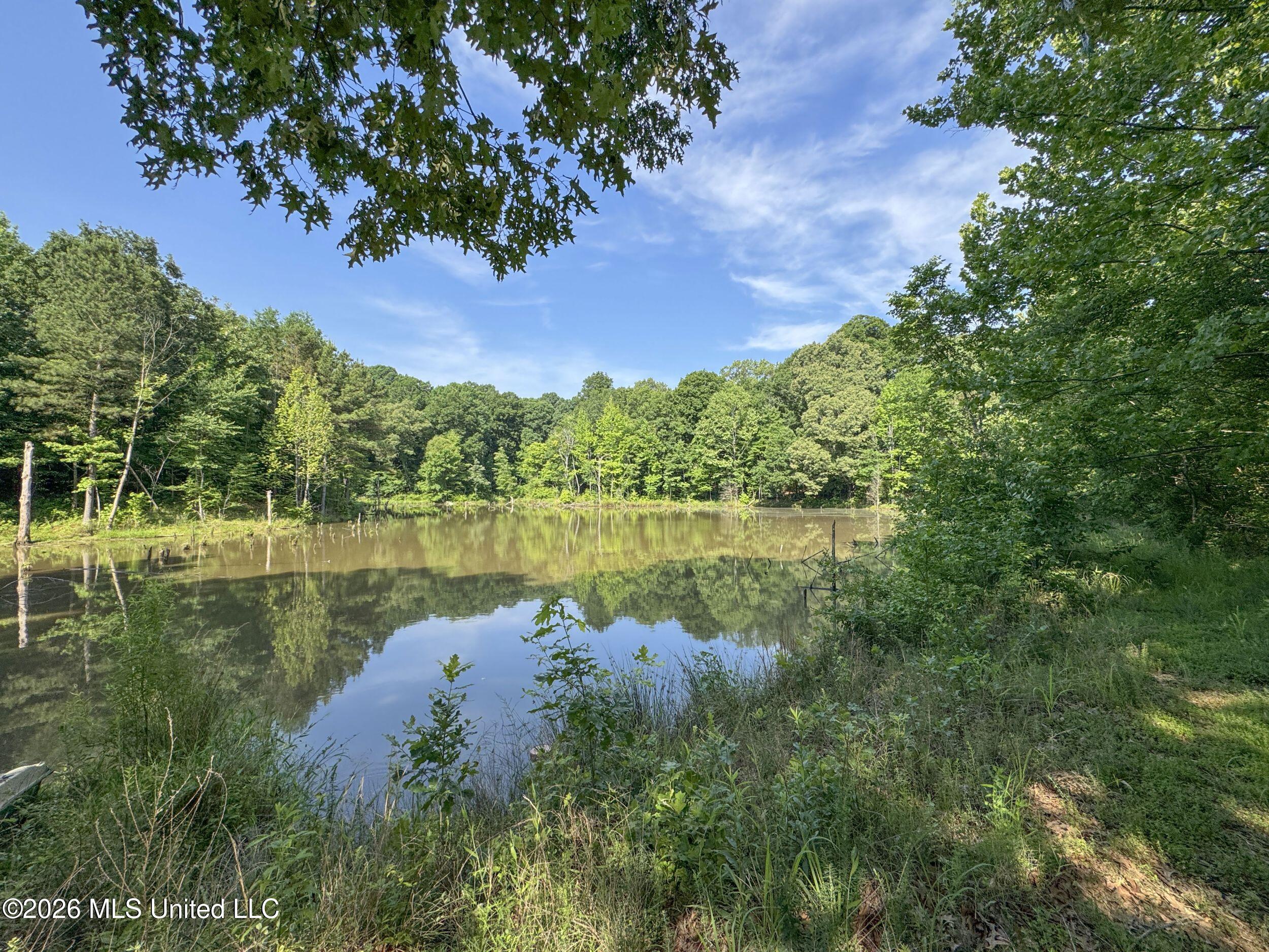 2169 Slocum Road Property Photo 52