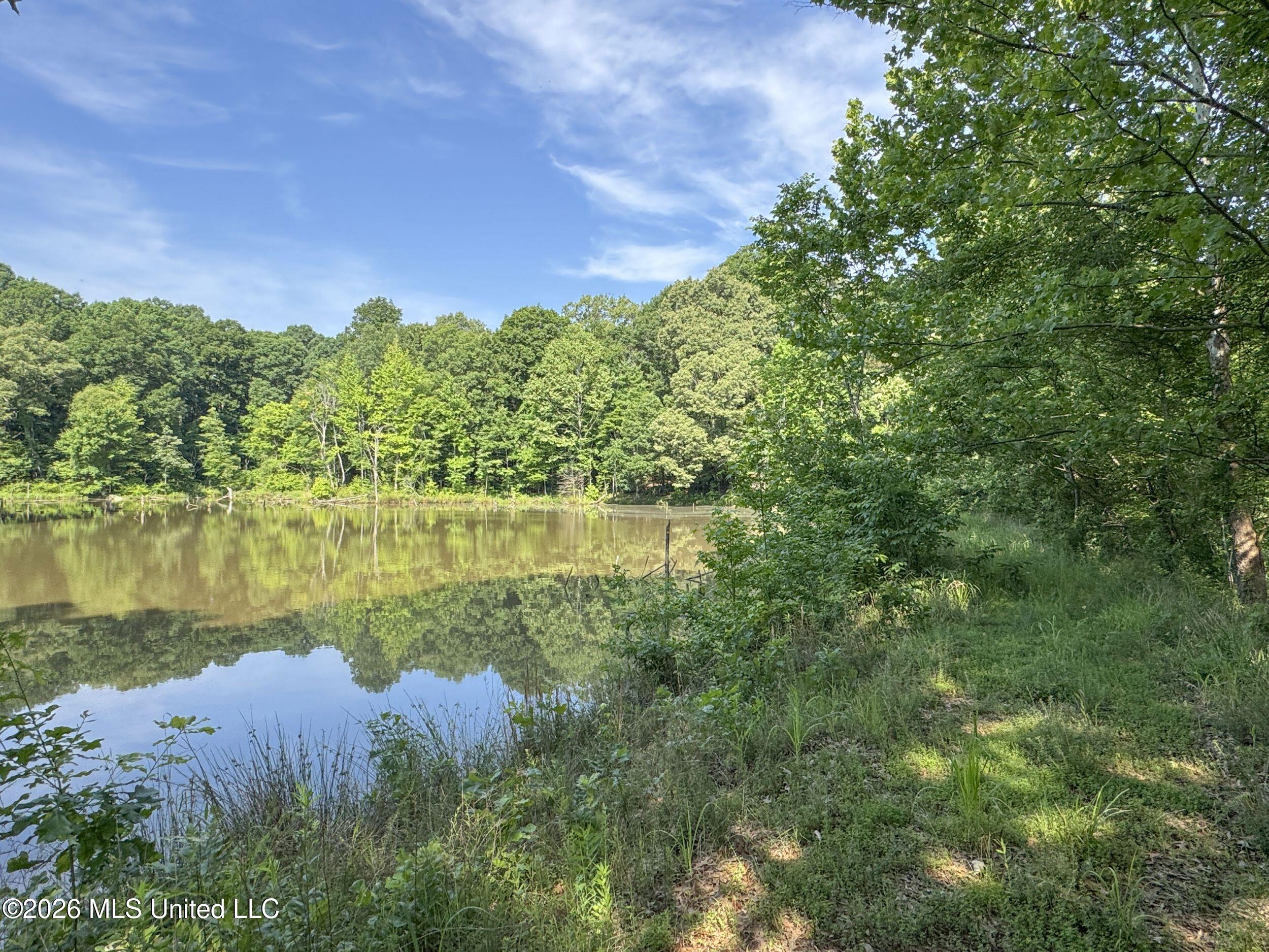 2169 Slocum Road Property Photo 54