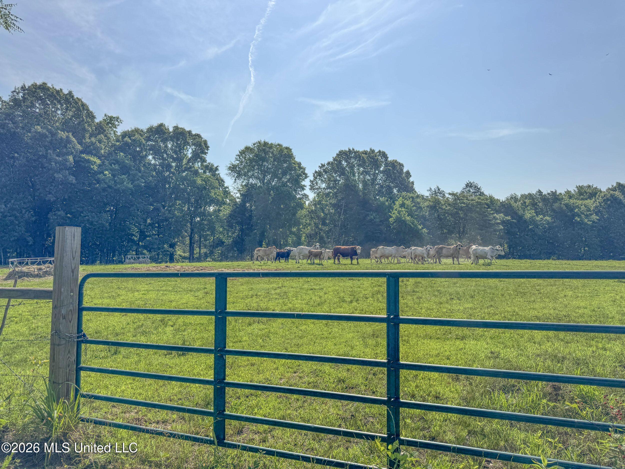 2169 Slocum Road Property Photo 57