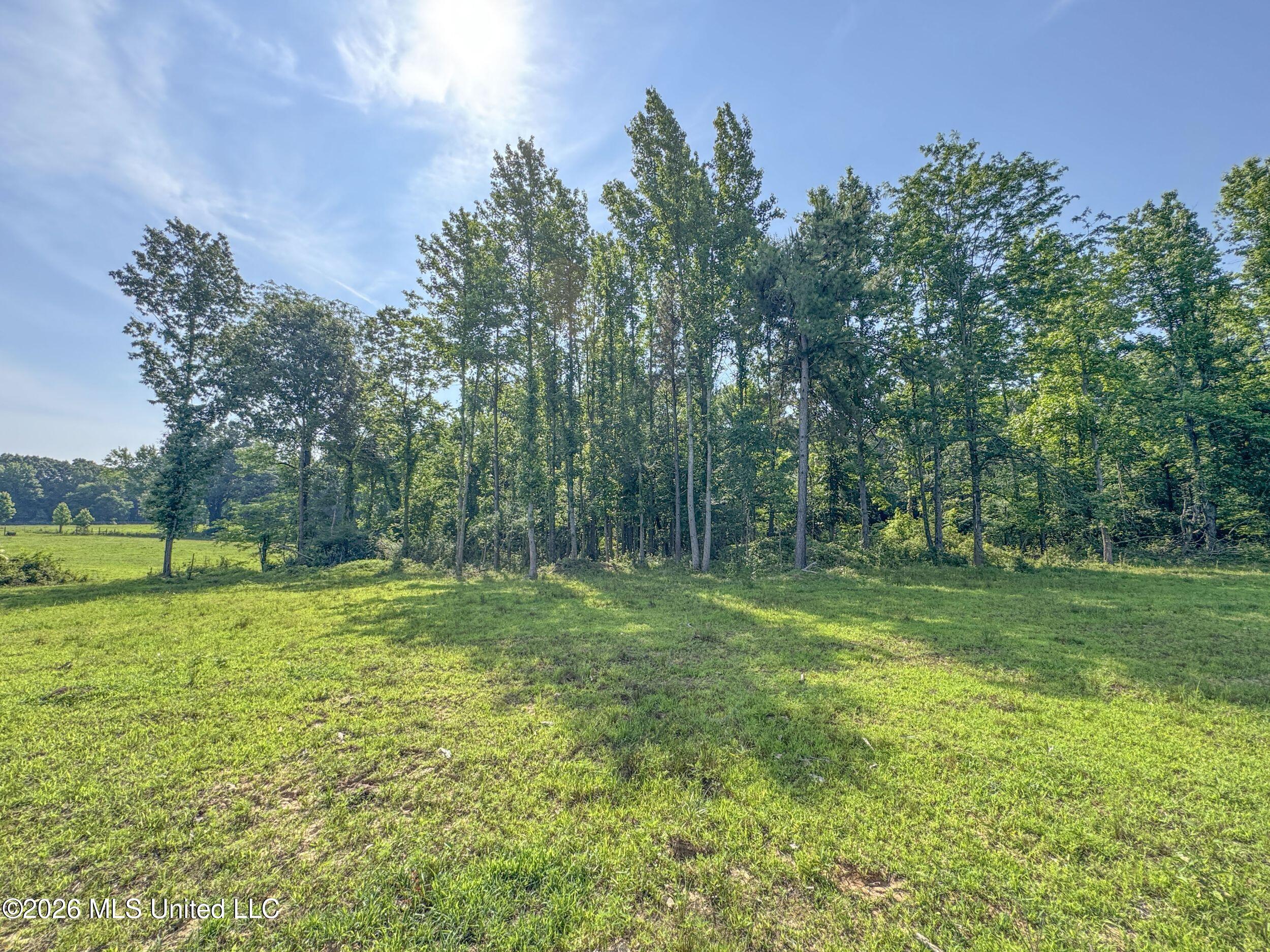2169 Slocum Road Property Photo 61