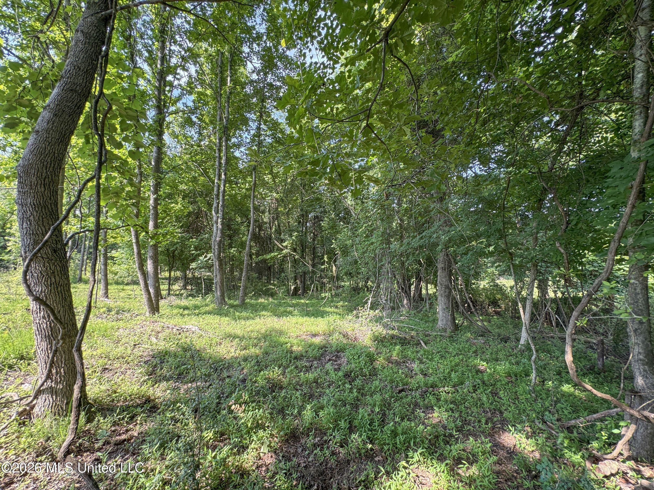 2169 Slocum Road Property Photo 65