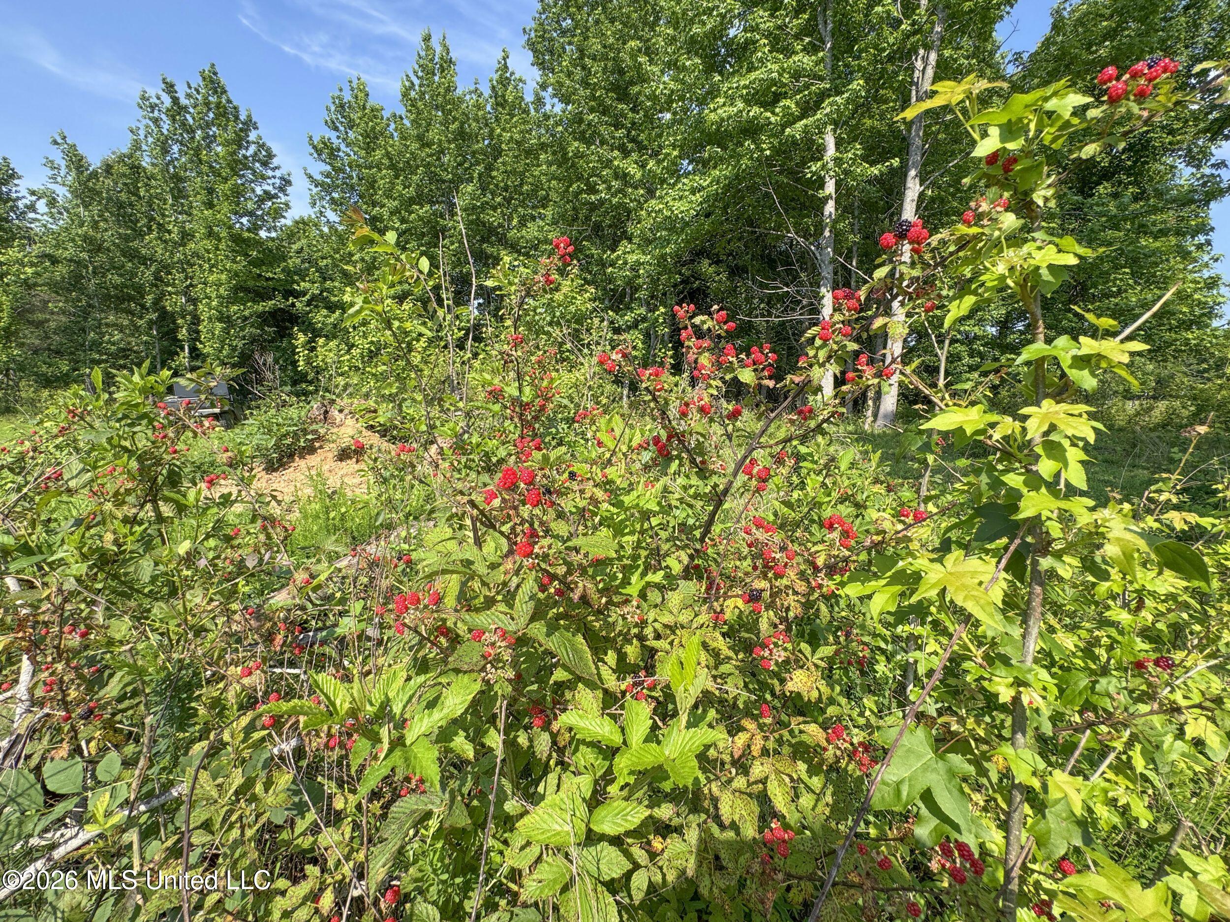 2169 Slocum Road Property Photo 67