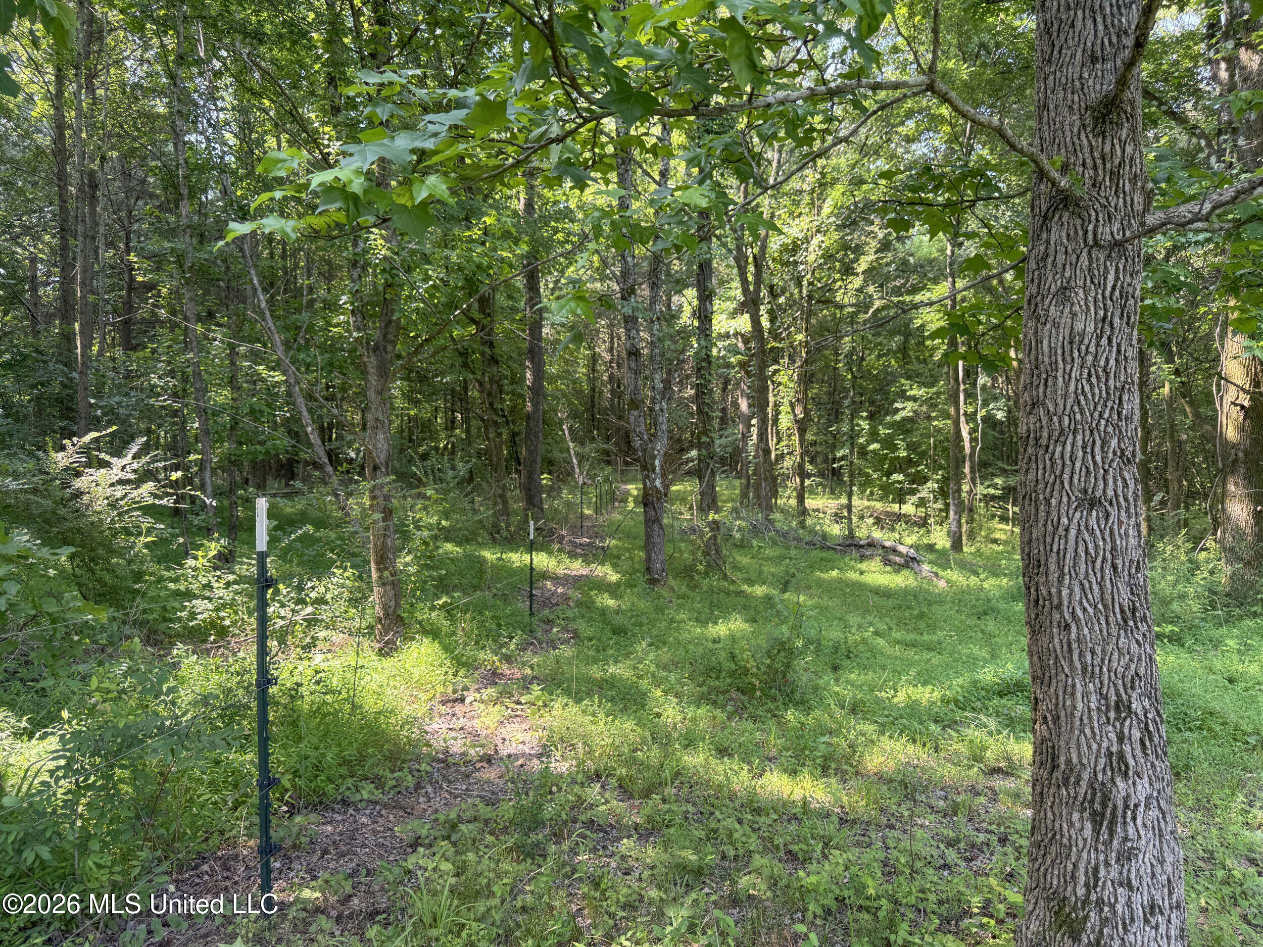 2169 Slocum Road Property Photo 68