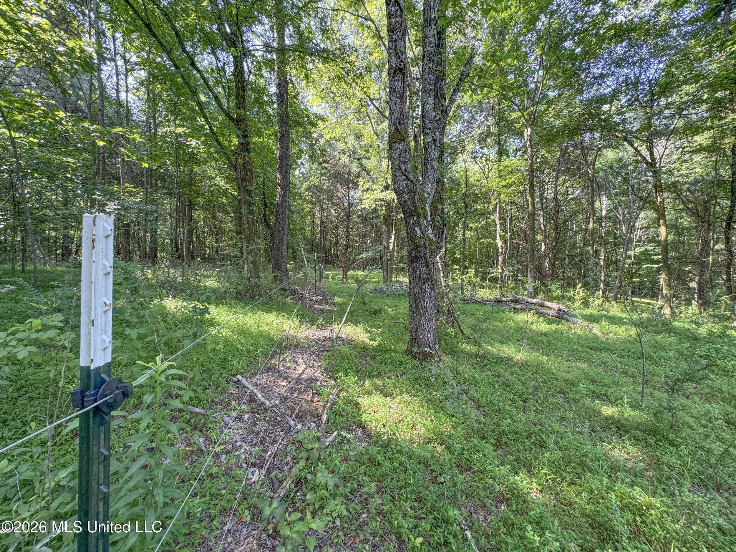 2169 Slocum Road Property Photo 69