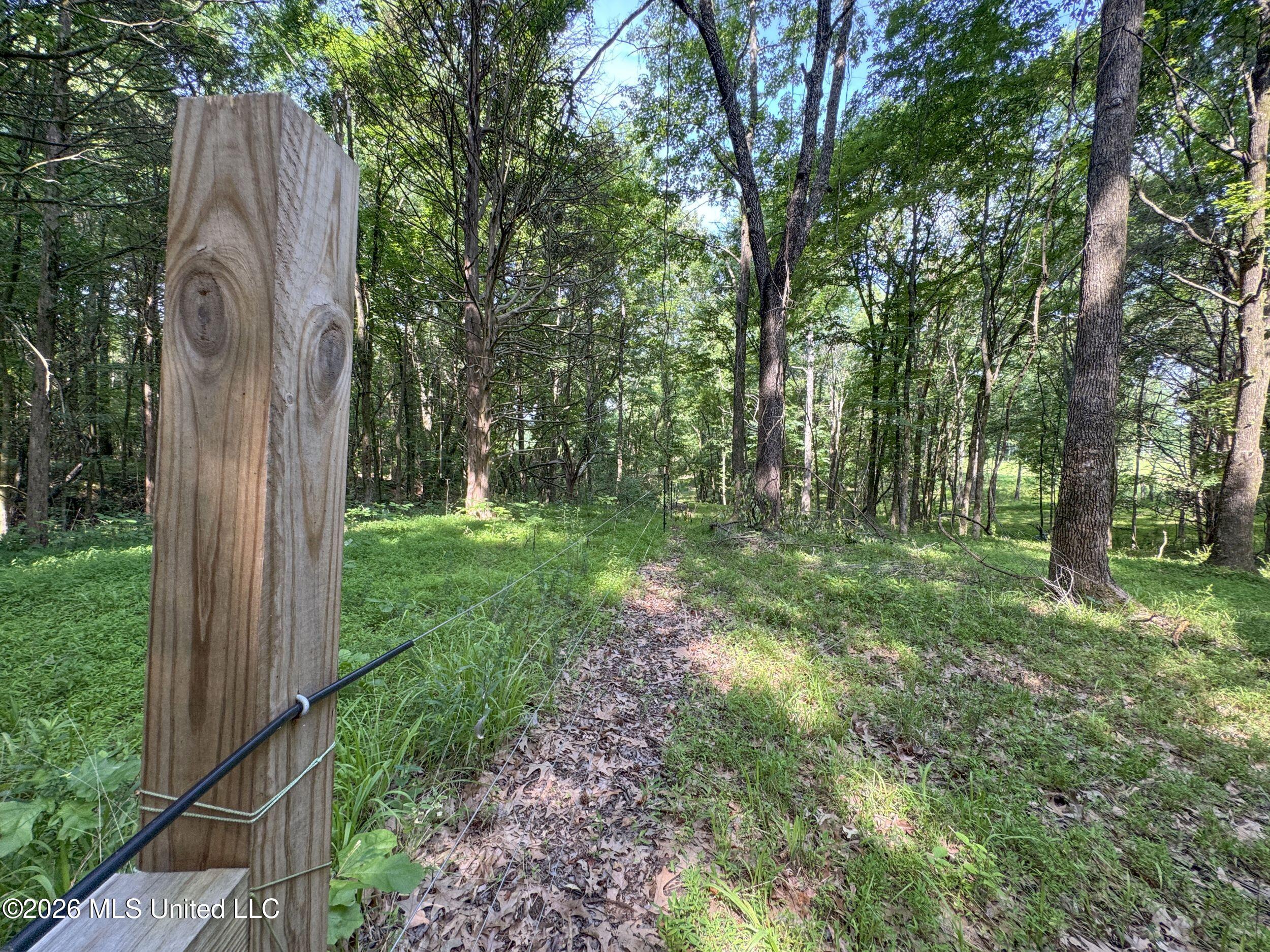 2169 Slocum Road Property Photo 71