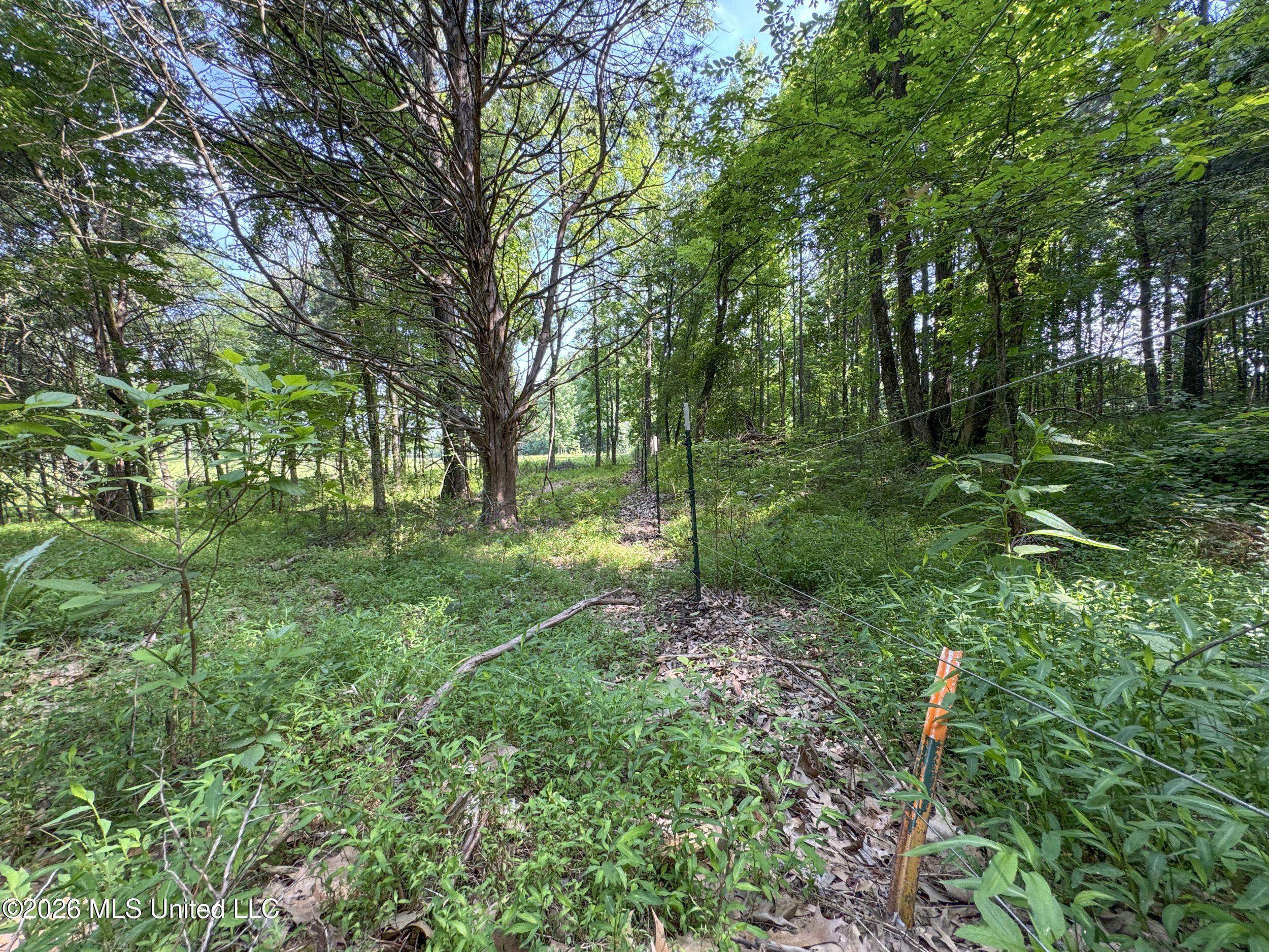 2169 Slocum Road Property Photo 73