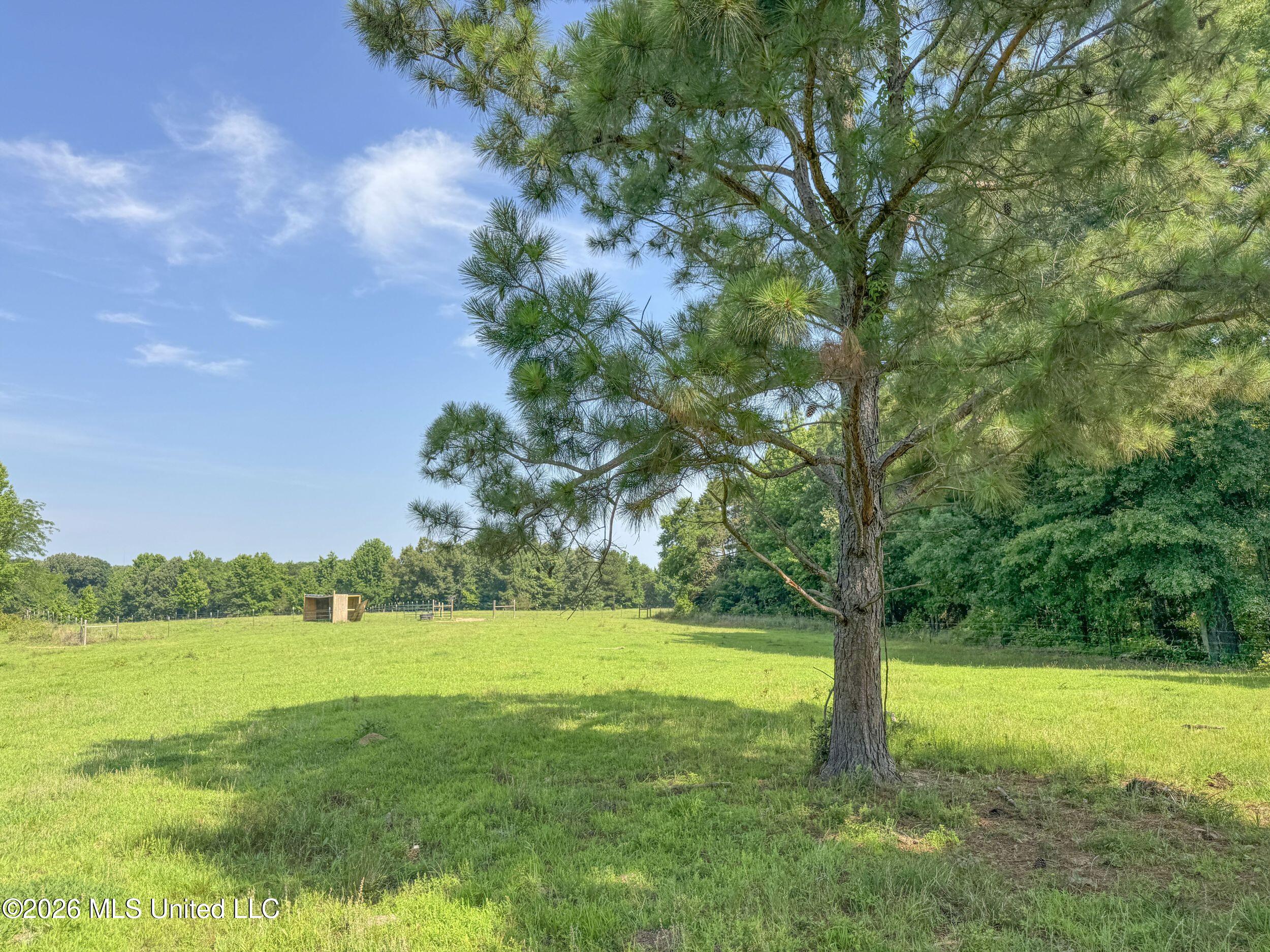 2169 Slocum Road Property Photo 74