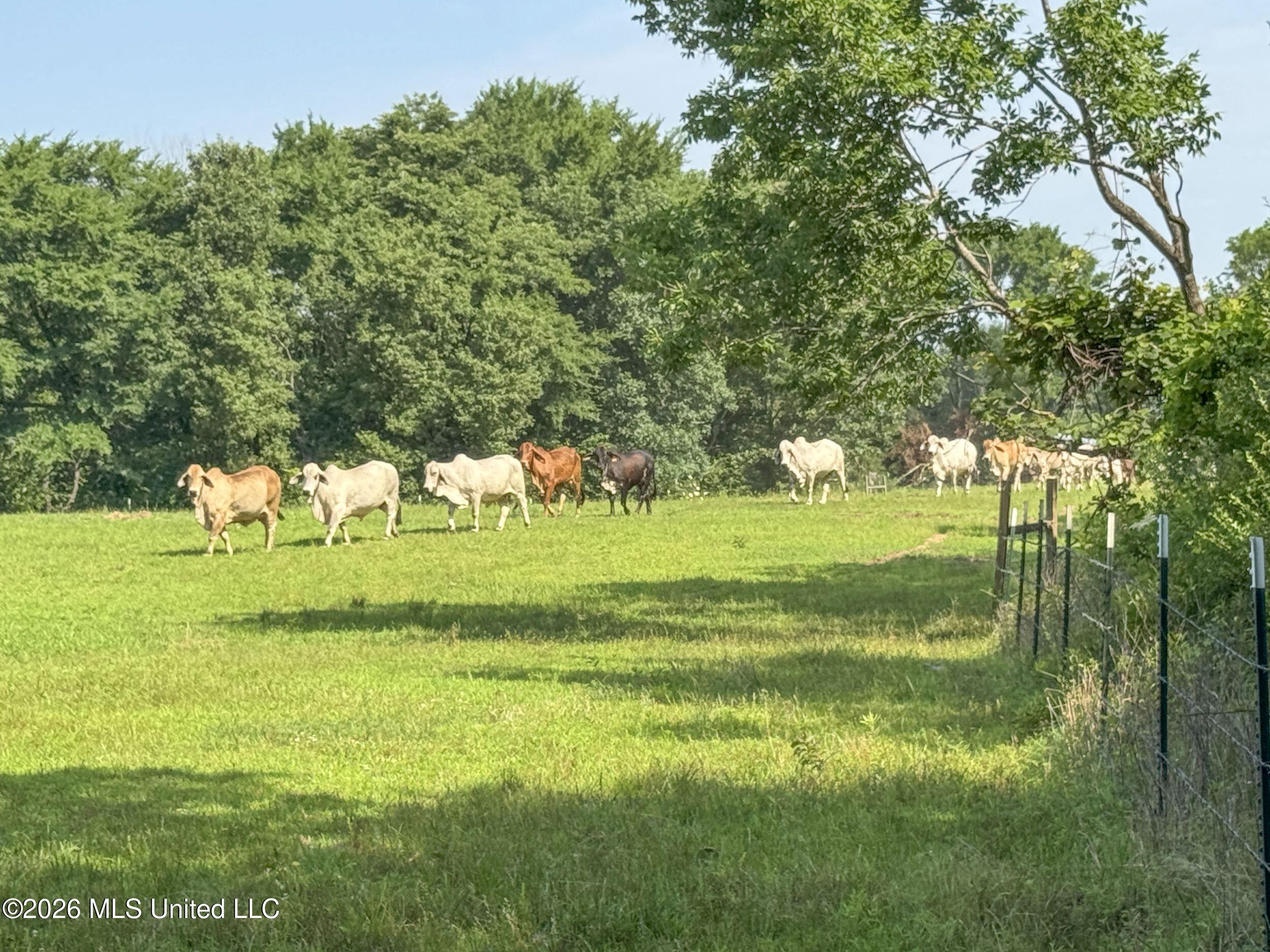 2169 Slocum Road Property Photo 79