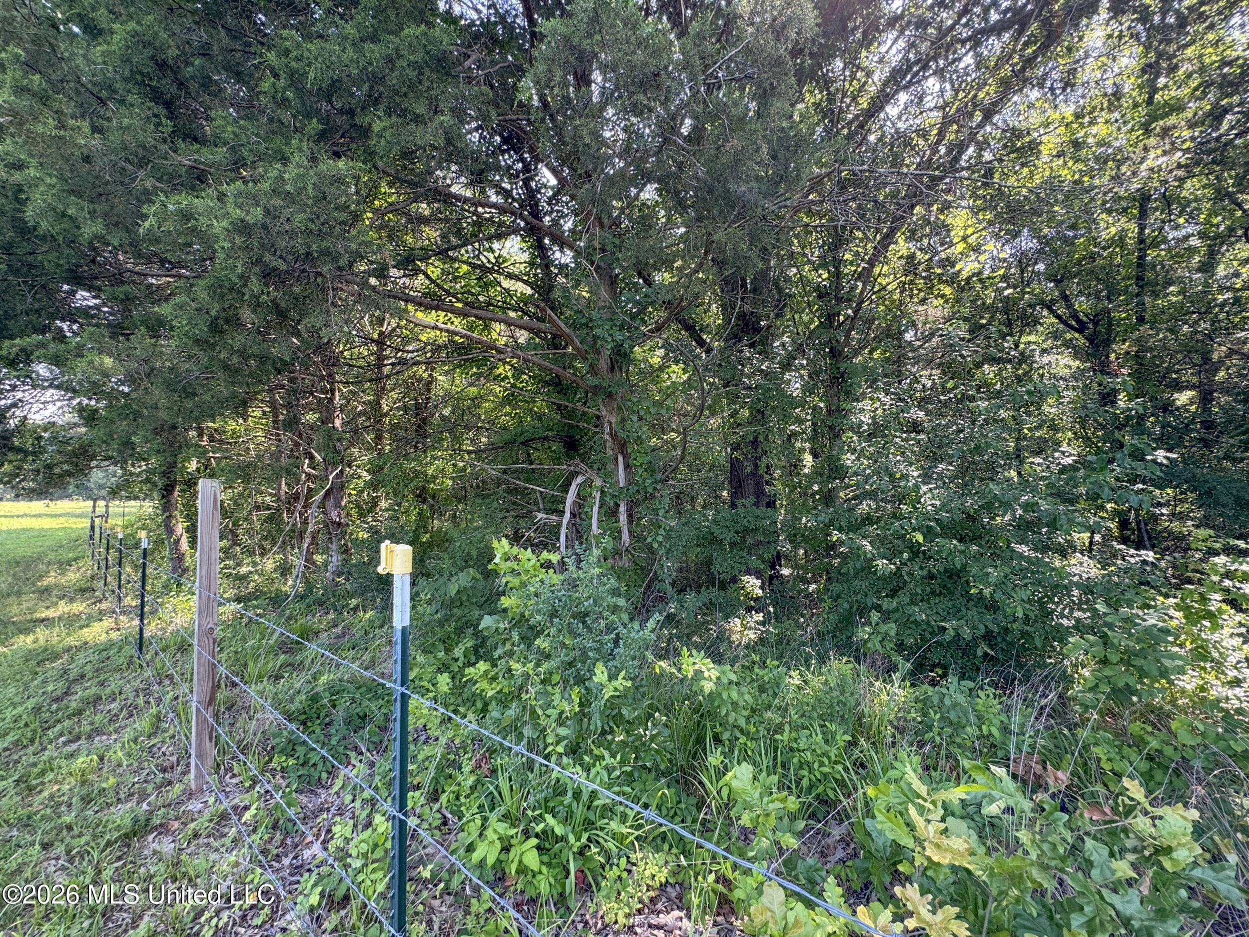 2169 Slocum Road Property Photo 80