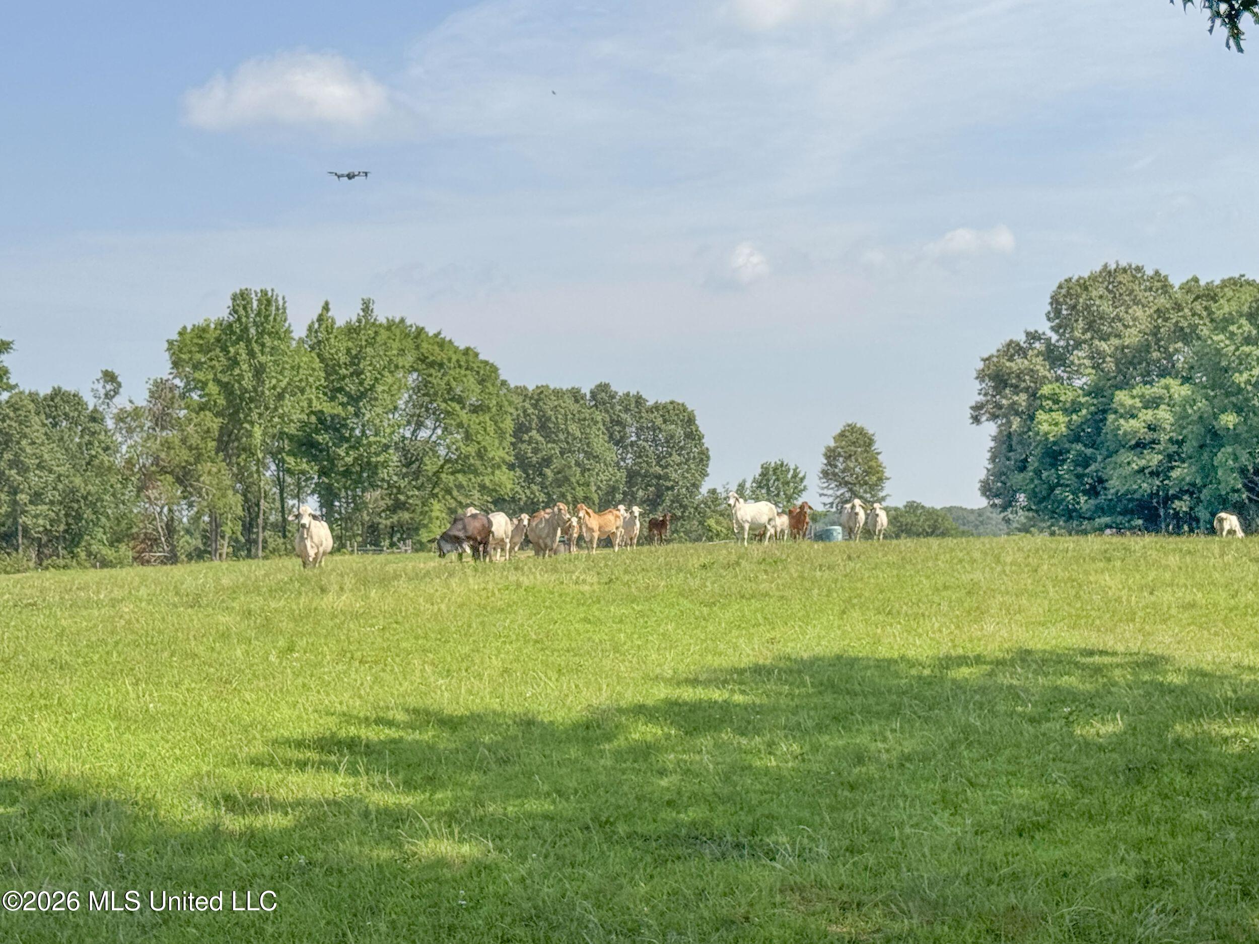 2169 Slocum Road Property Photo 81
