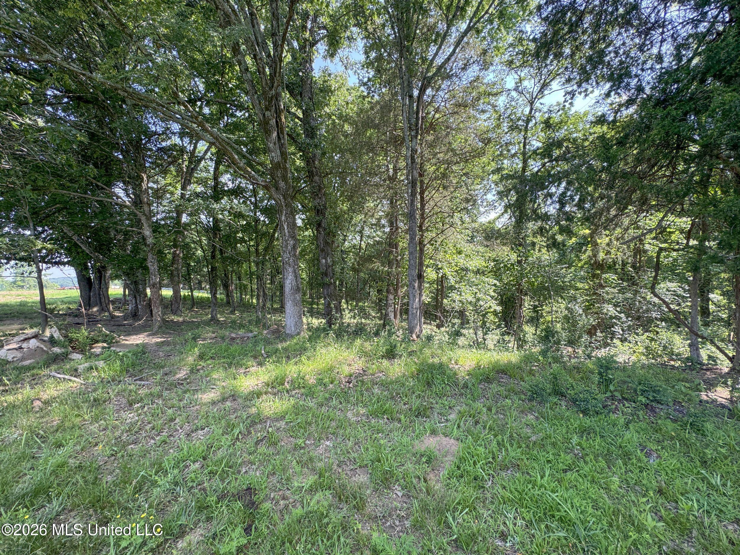2169 Slocum Road Property Photo 82
