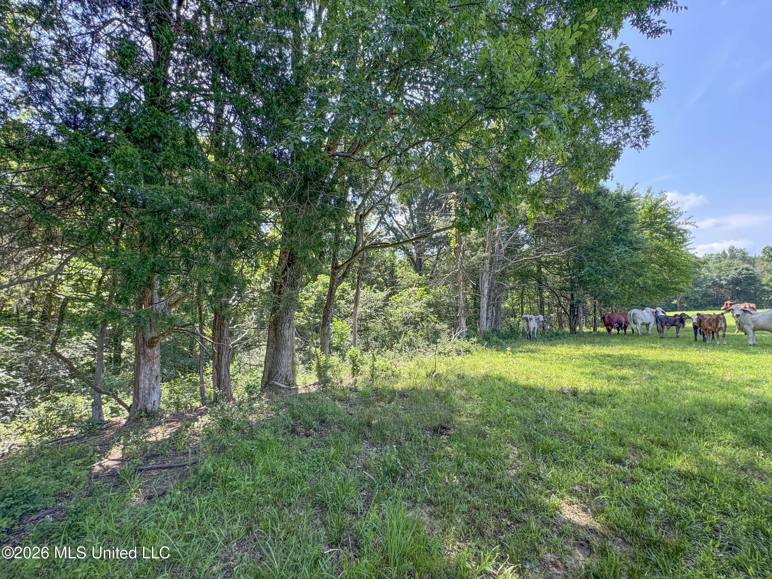 2169 Slocum Road Property Photo 83