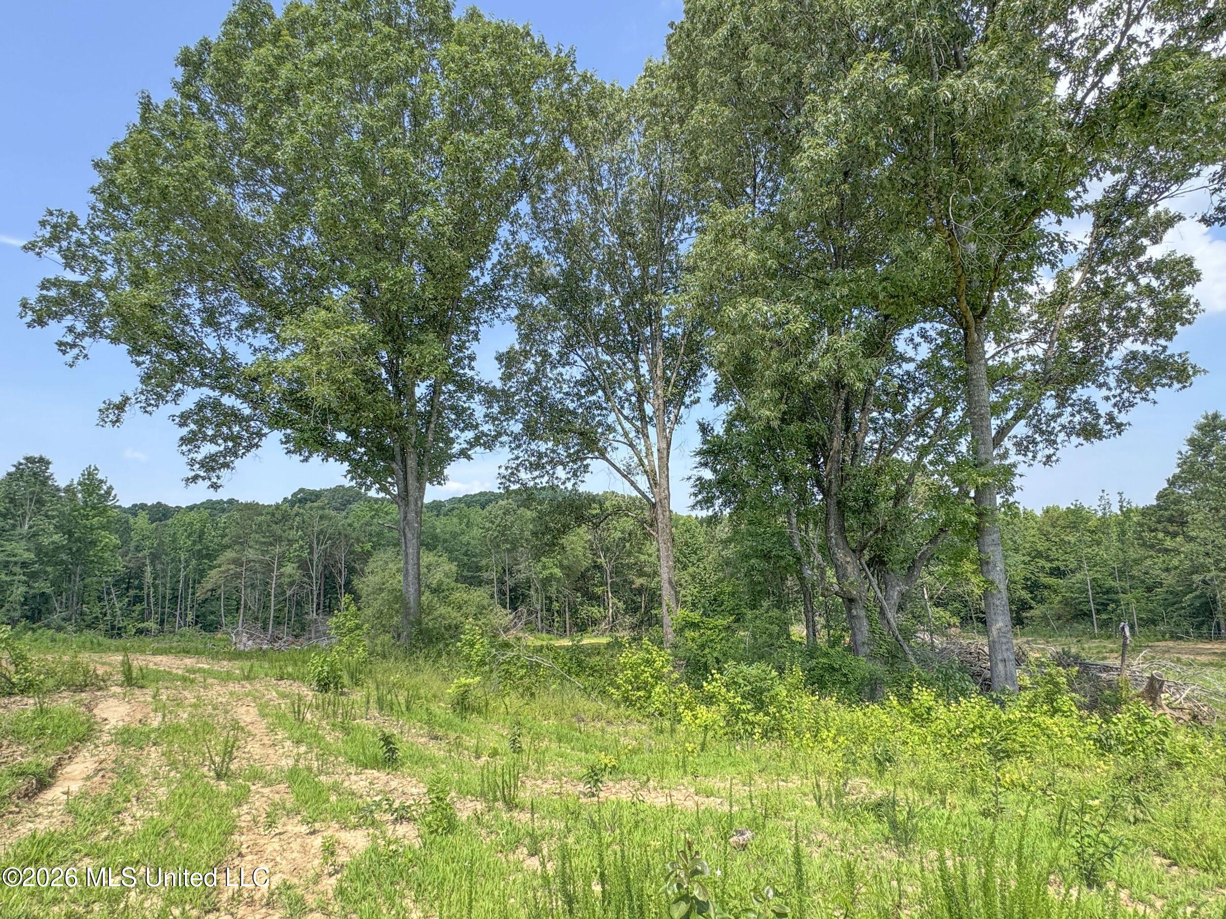 2169 Slocum Road Property Photo 92